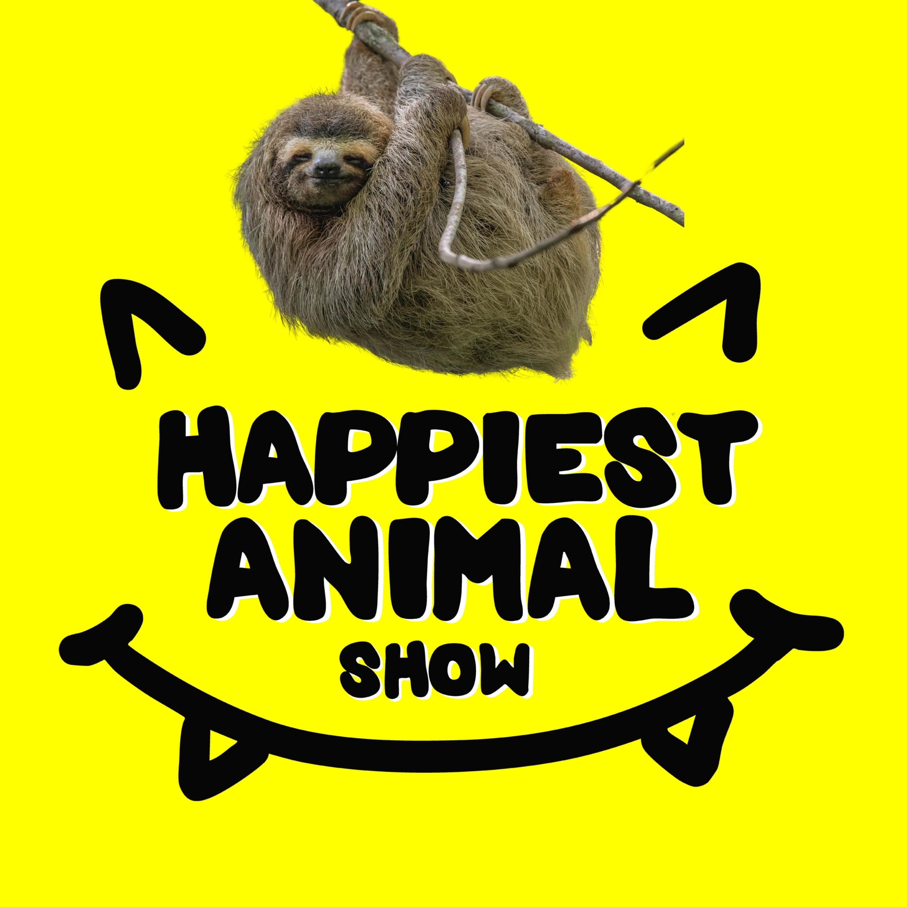 Cute Animals (with 9 year old Maggie)