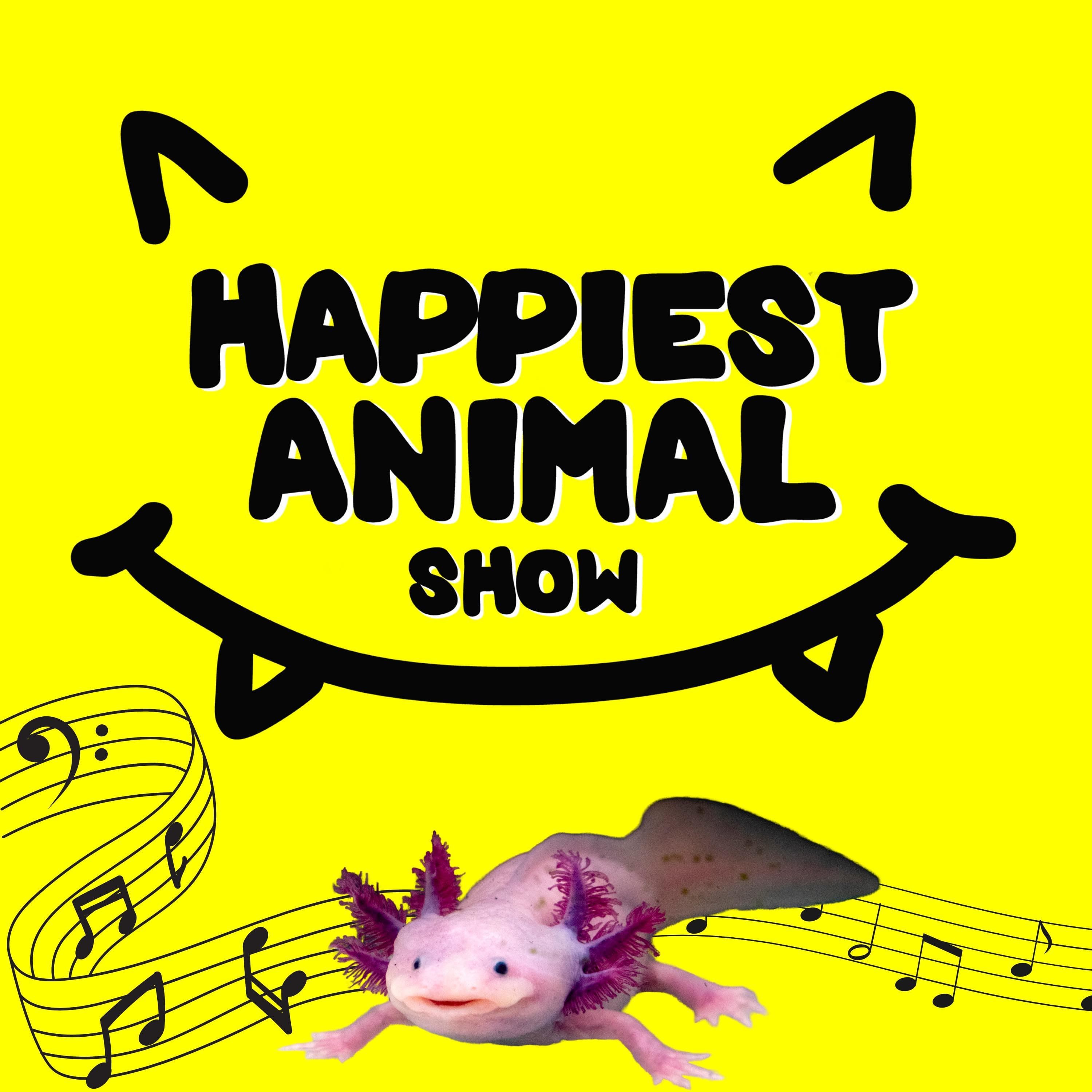 Animal Songs