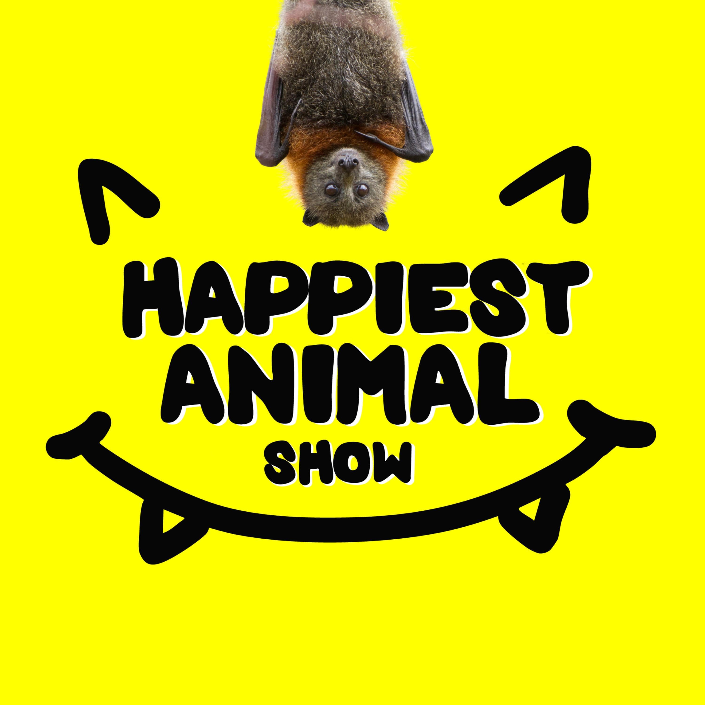 Halloween Animals (with special guest Skip Hobbie)