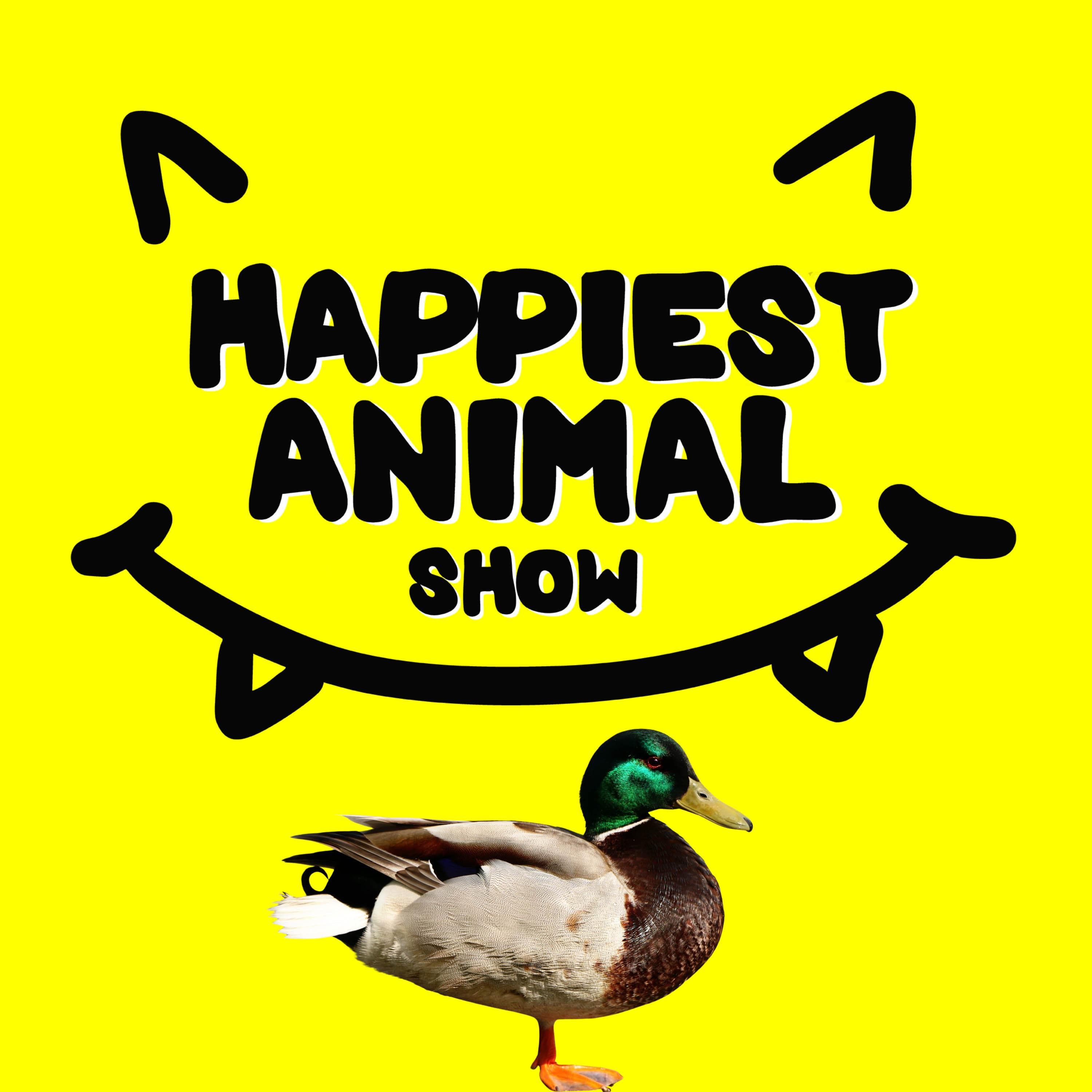 Funny Animal Butts (with comedians Jason and Randy Sklar)