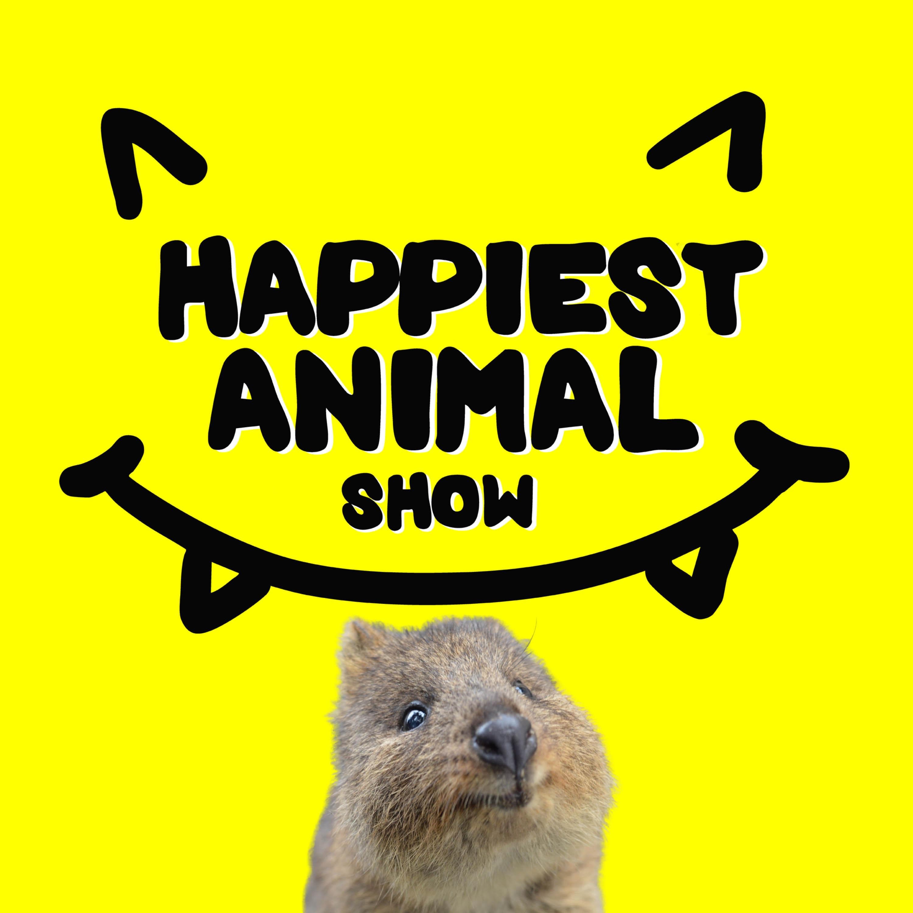 Funny Animal Names (with underwater photographer Patrick Webster)