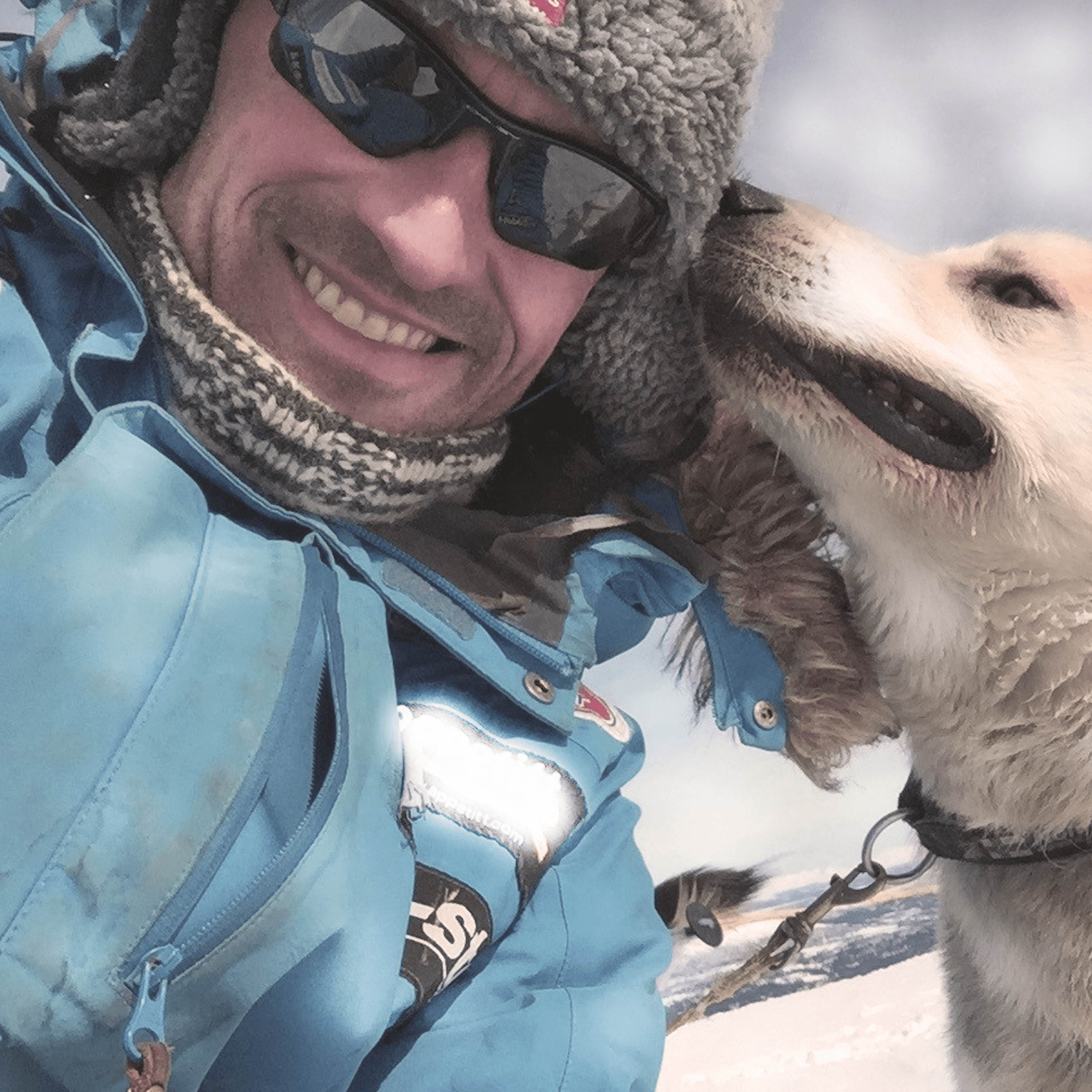 Verdens beste hundekjører