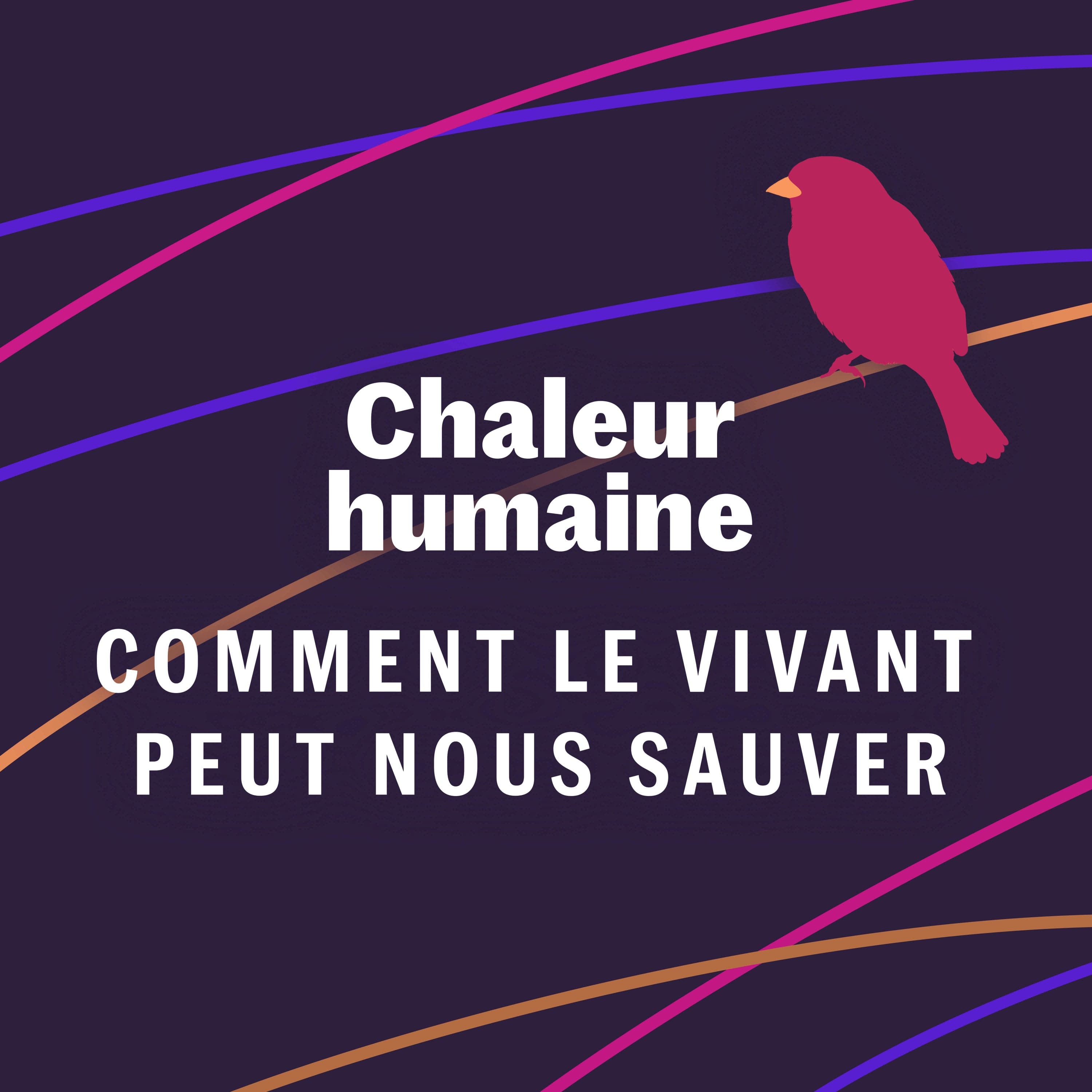 Le castor - Comment le vivant peut nous sauver (6/6)