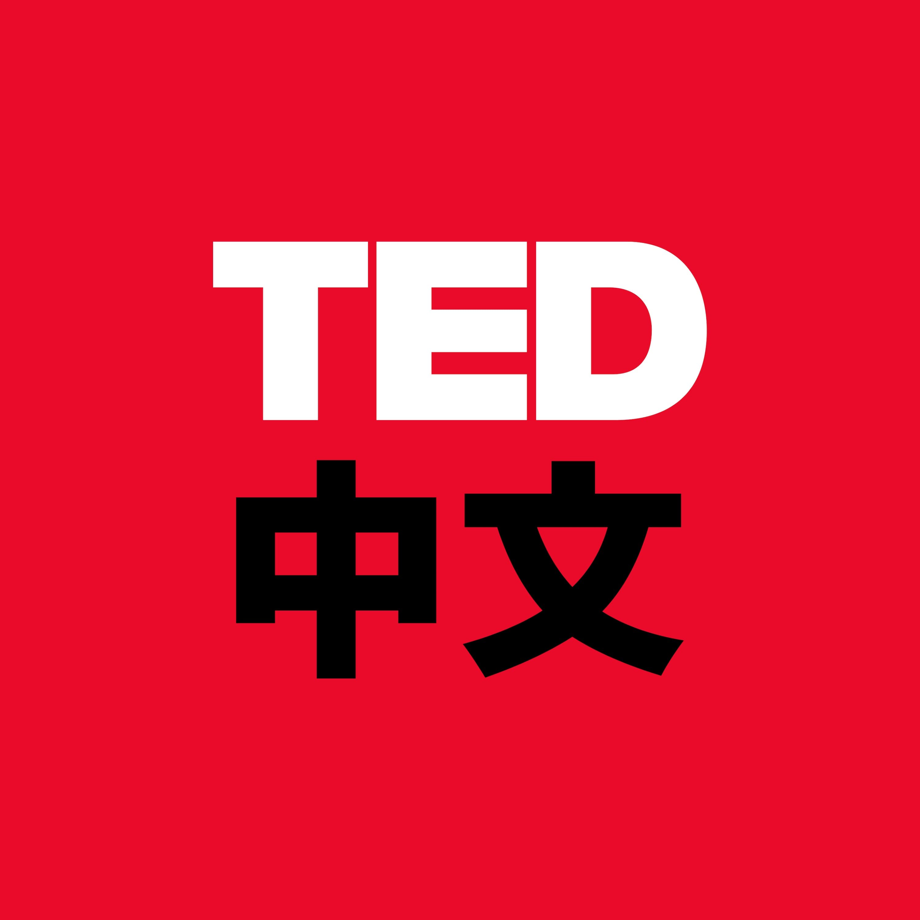 会写诗的孩子不砸玻璃
