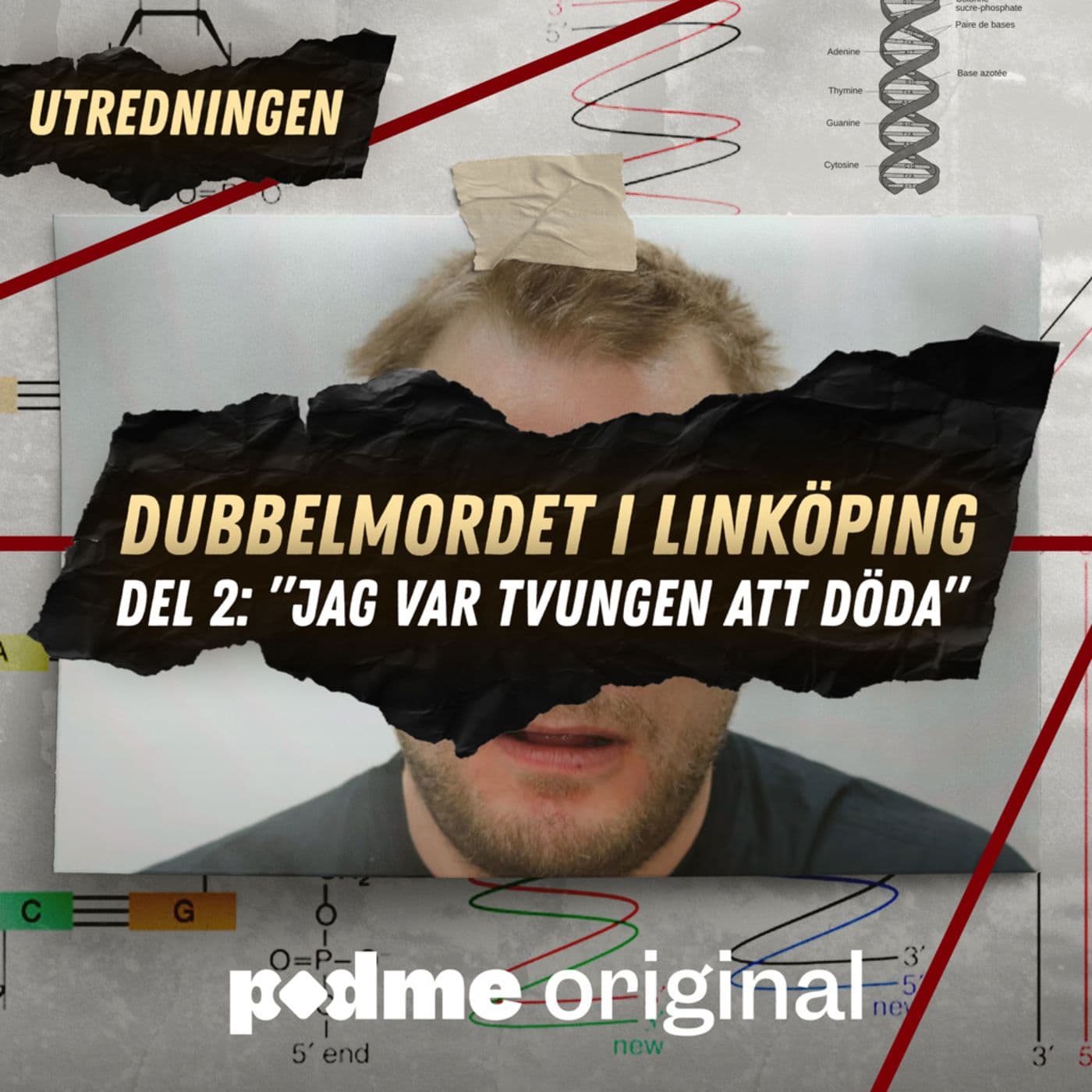 Dubbelmordet i Linköping – Del 2: "Jag var tvungen att döda"