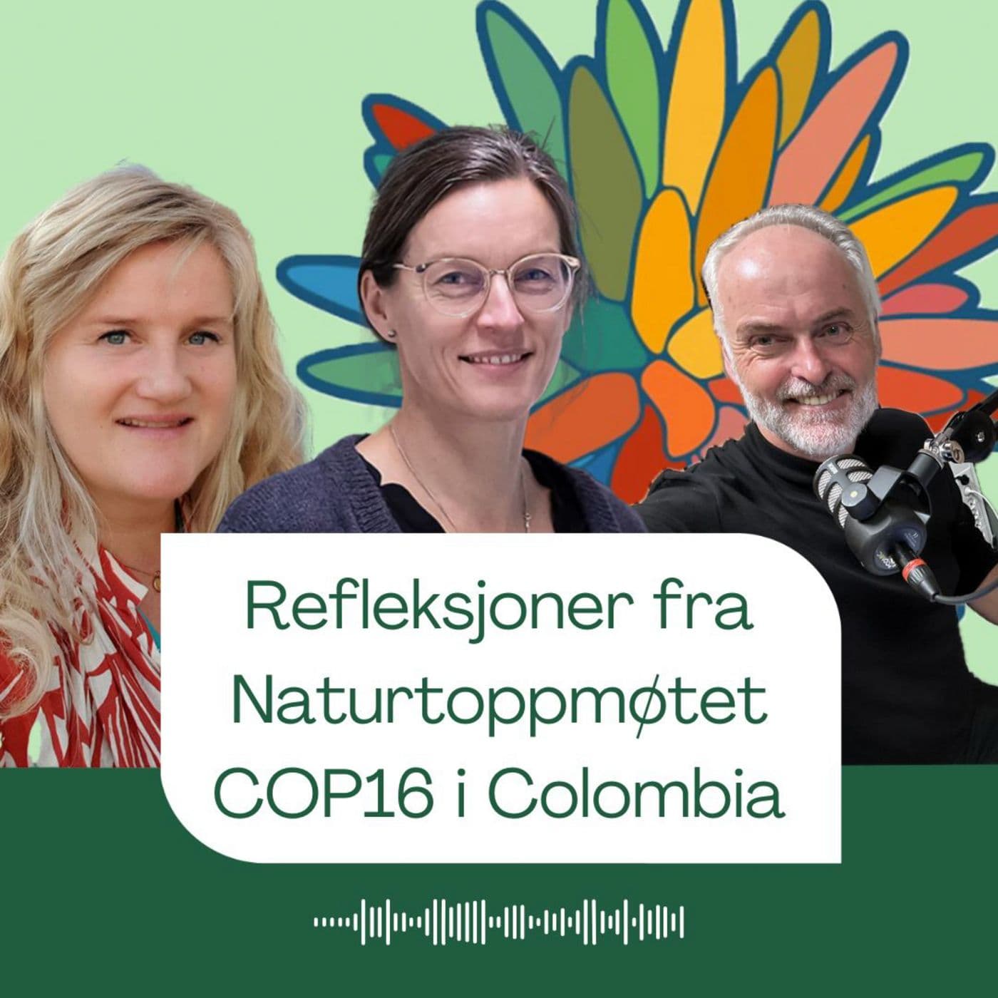 Refleksjoner fra naturtoppmøtet COP16 i Colombia