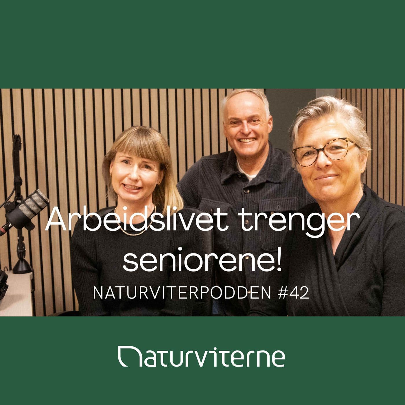 Arbeidslivet trenger seniorene!