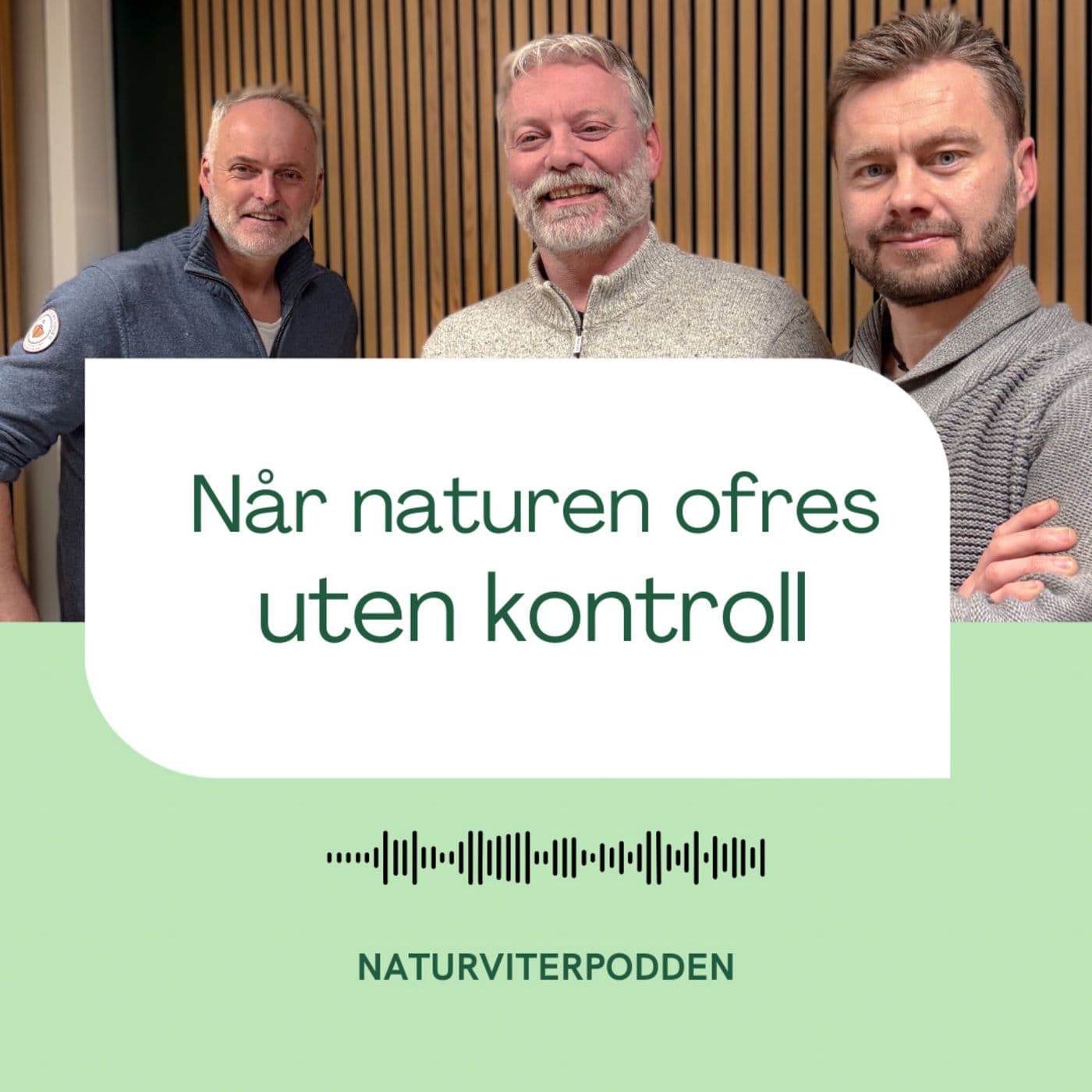 Når naturen ofres uten kontroll