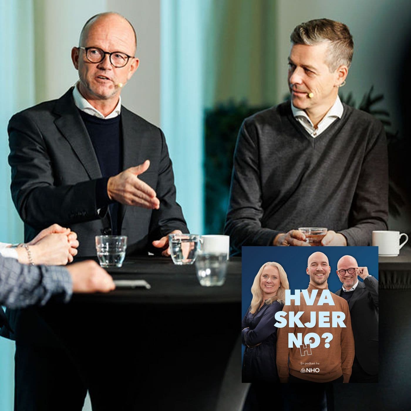 Politiske synder og privat eierskap med Knut Arild Hareide