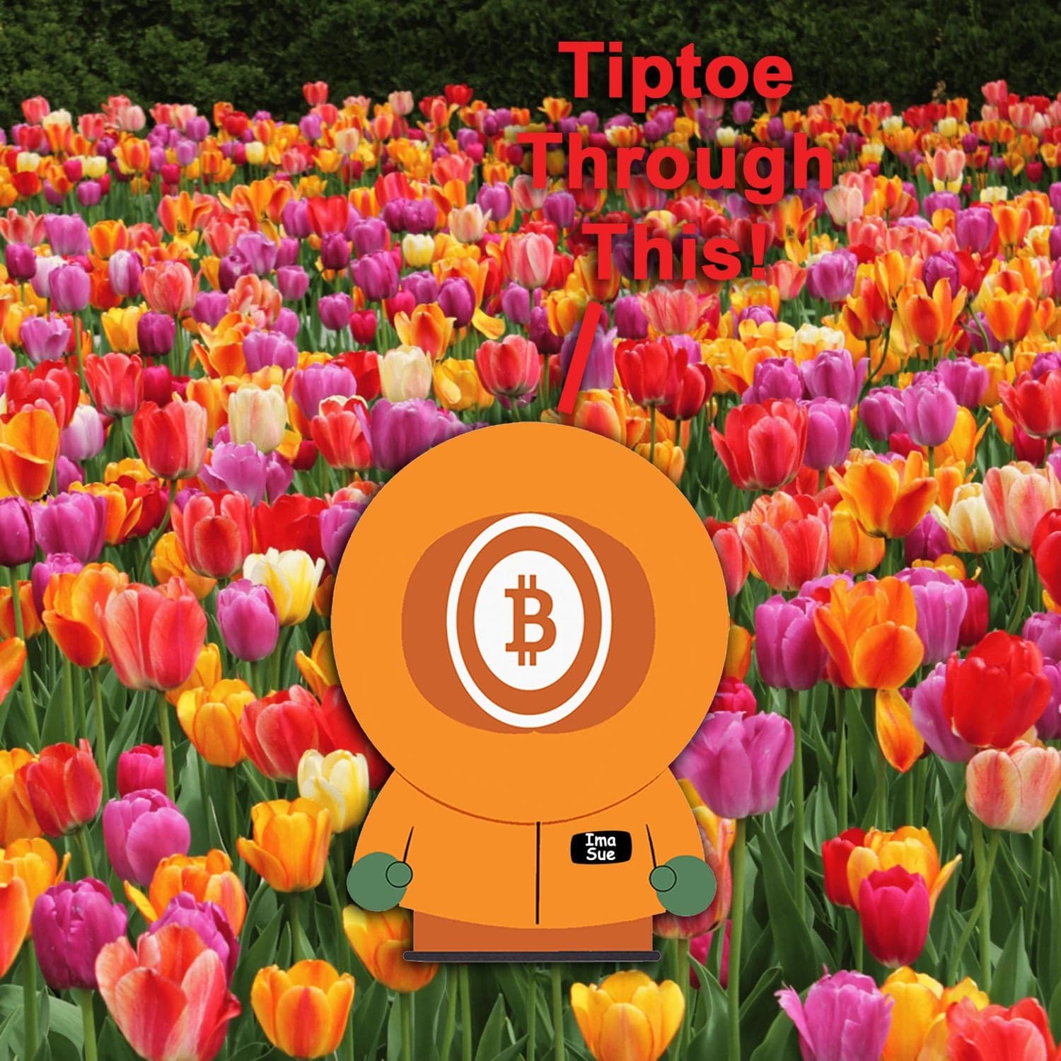 The Tulip Narrative