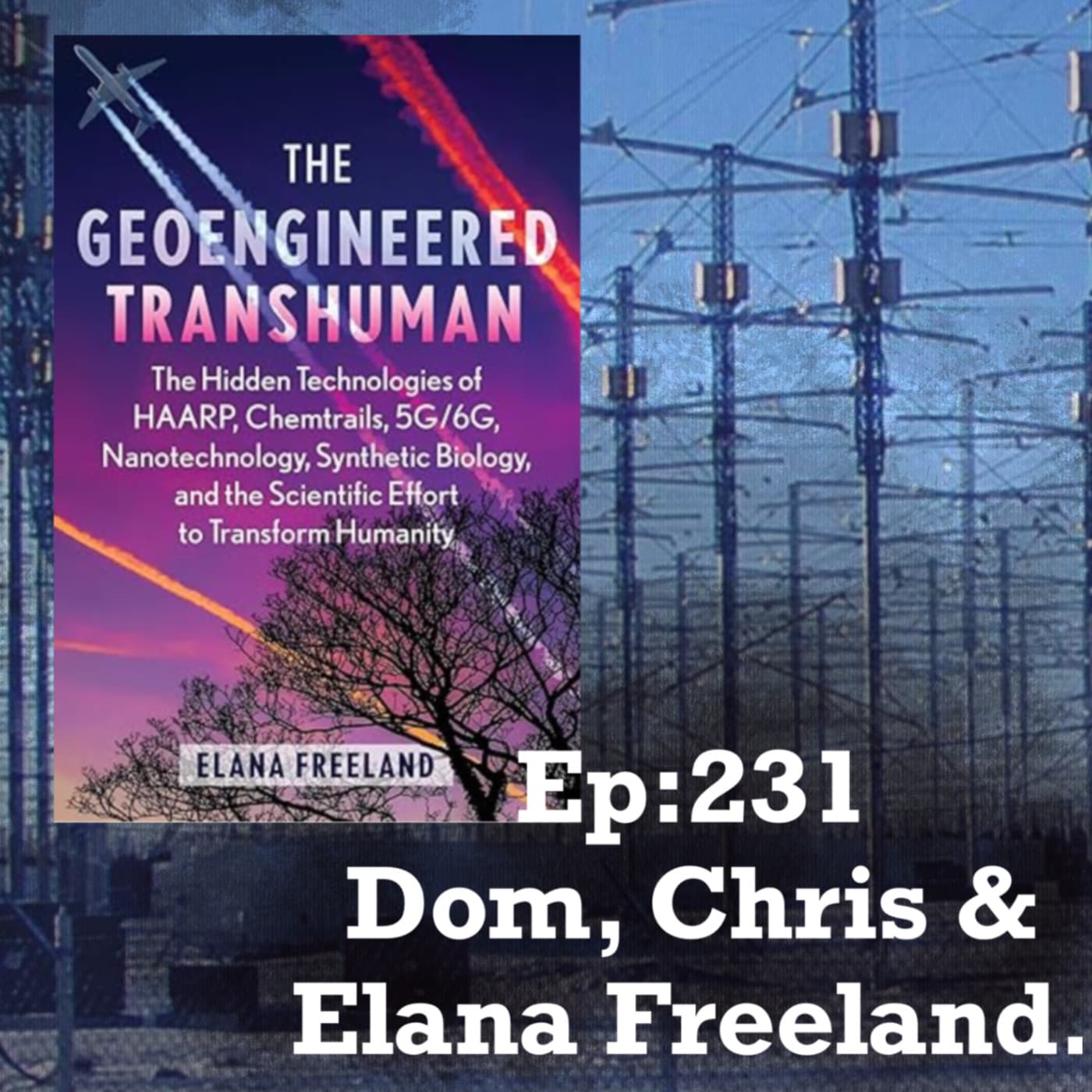 Episode 220: [SF231] Elana Freeland