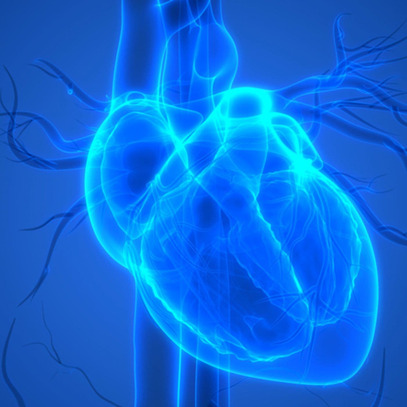 EKU2021.3: Atrial Fibrillation