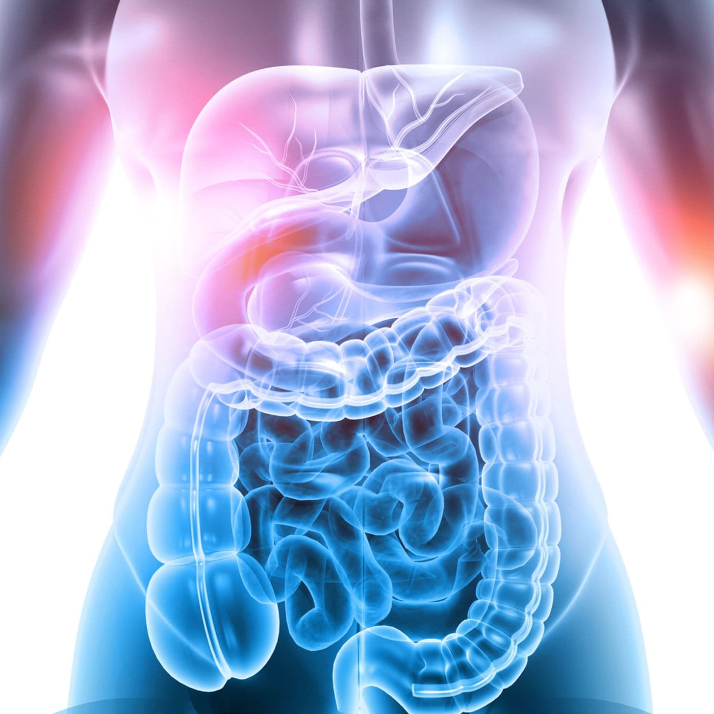 EKU2022.1: Irritable Bowel Syndrome