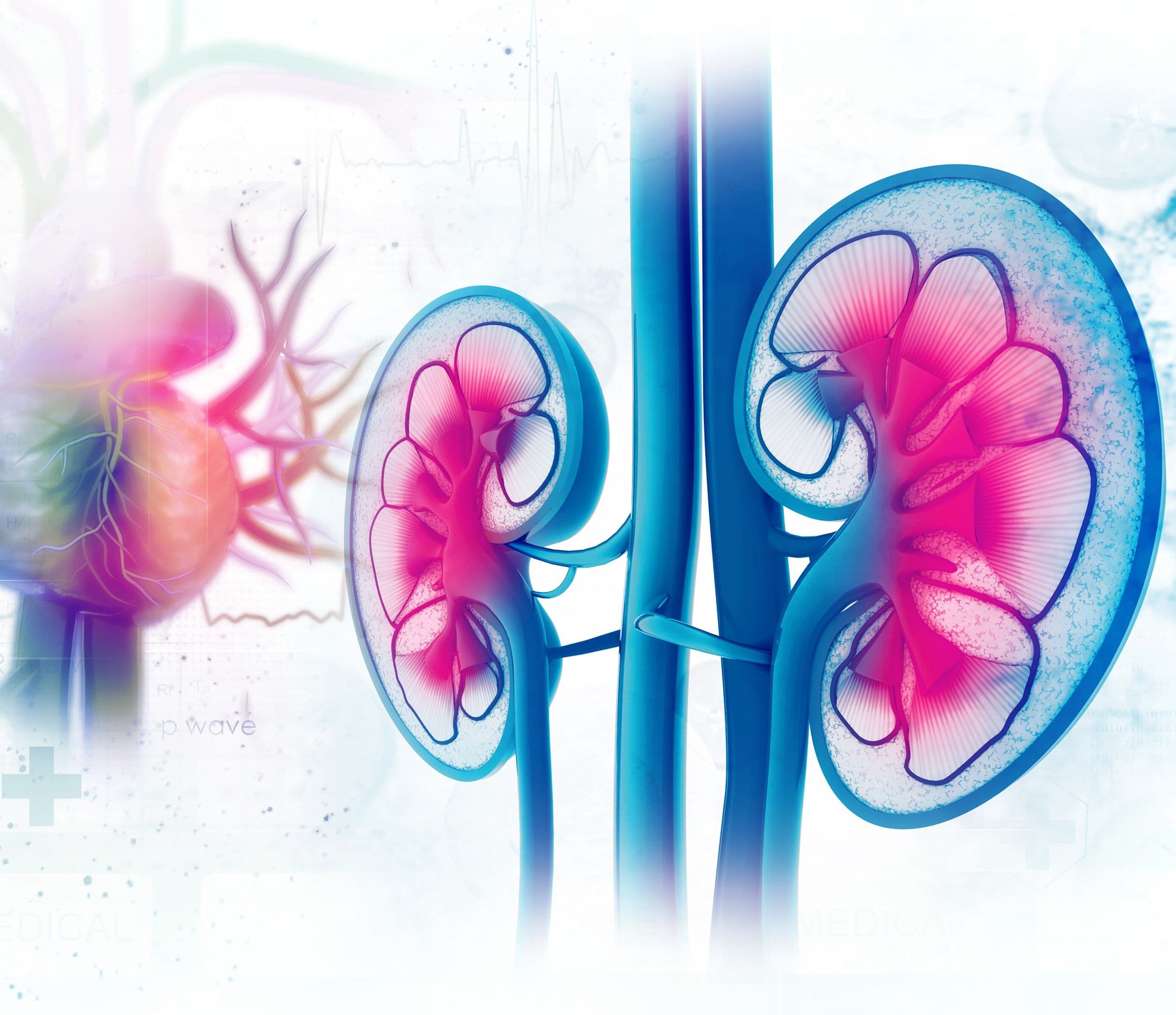 Chronic kidney disease (CKD): an essential guide for GPs