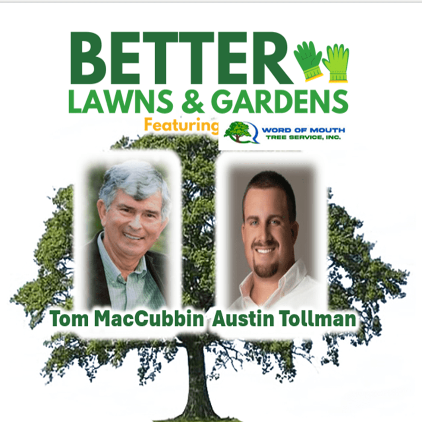 S2 Ep364: Better Lawns and Gardens - Hour 2 Summer Tree Care June 21, 2025