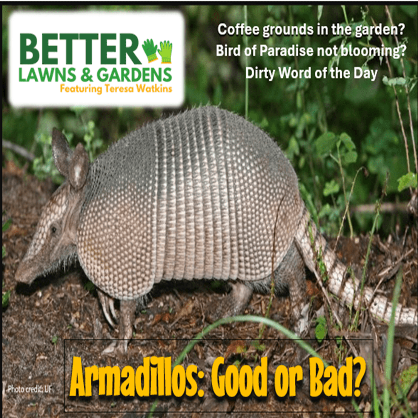 S2 Ep366: Better Lawns and Gardens - Hour 2  