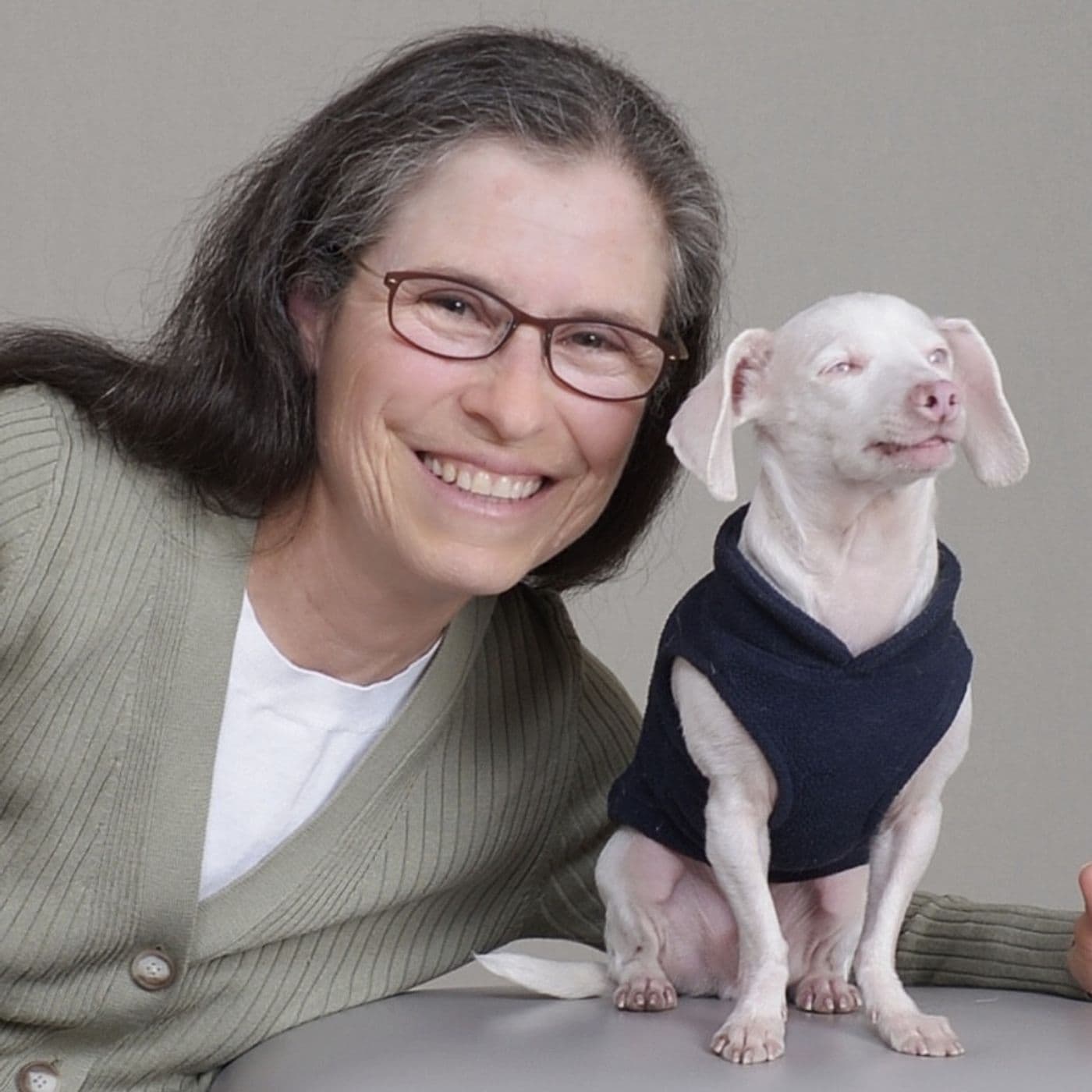 335: Disabled pets and their vets
