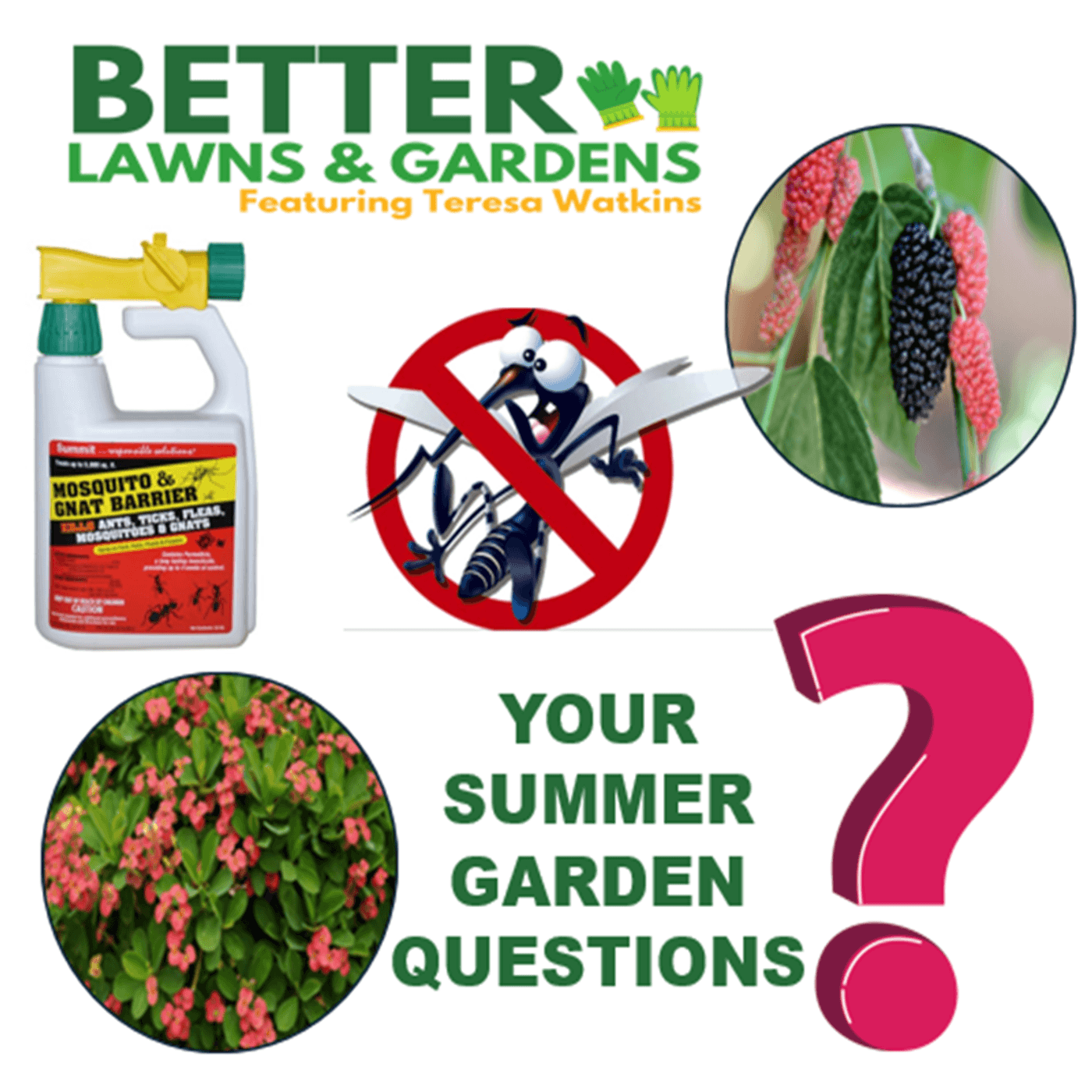 S2 Ep374: Better Lawns and Gardens - Hour 2 Summer Garden Questions August 9 2025