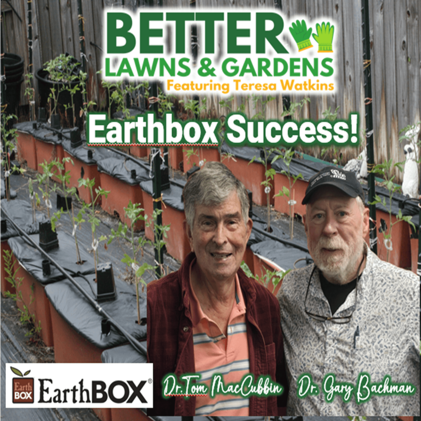 S2 Ep375: Better Lawns and Gardens - Hour 1 Earthbox Success! August 9, 2025