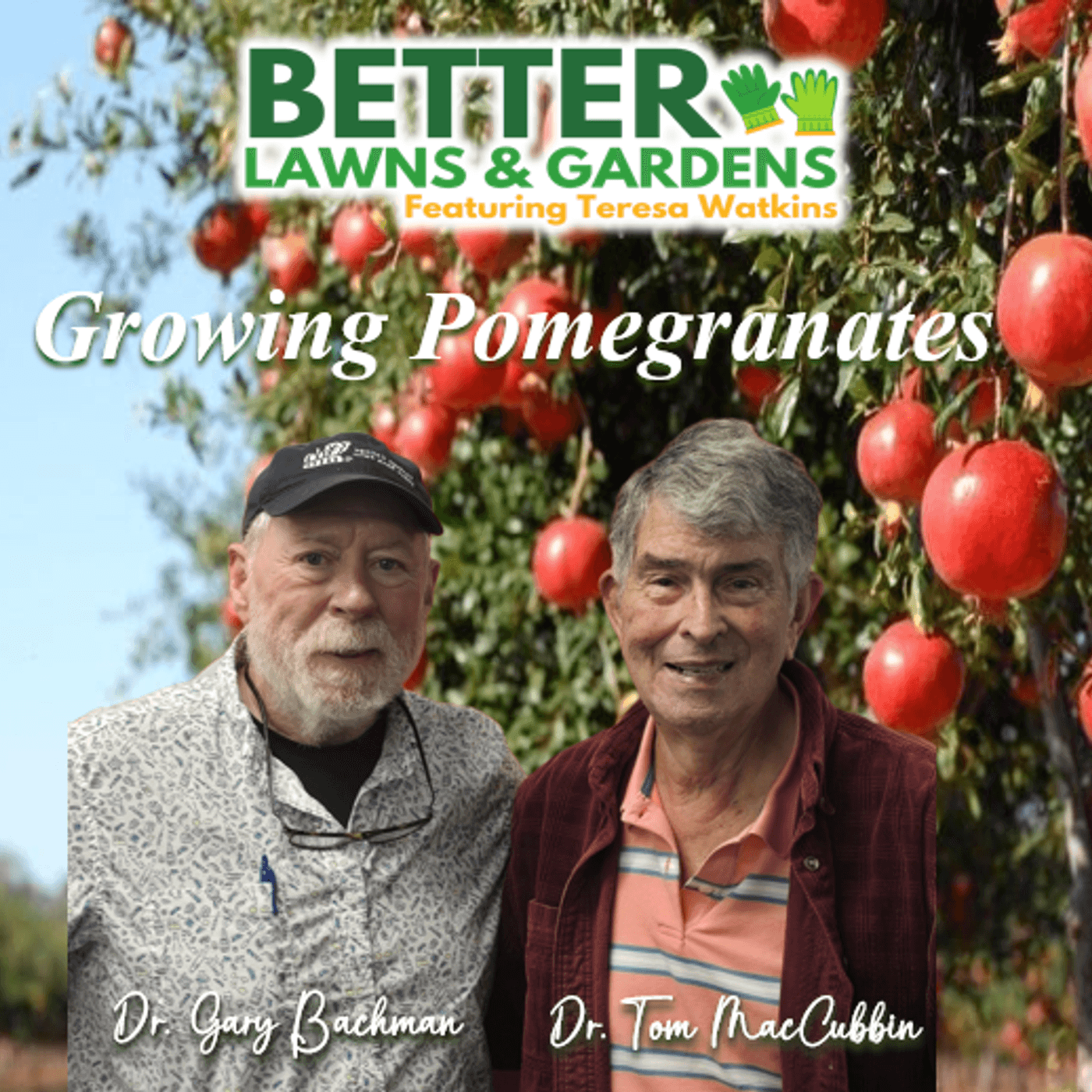 S2 Ep376: Better Lawns and Gardens - Hour 2 Growing Pomegranates and More August 9, 2025