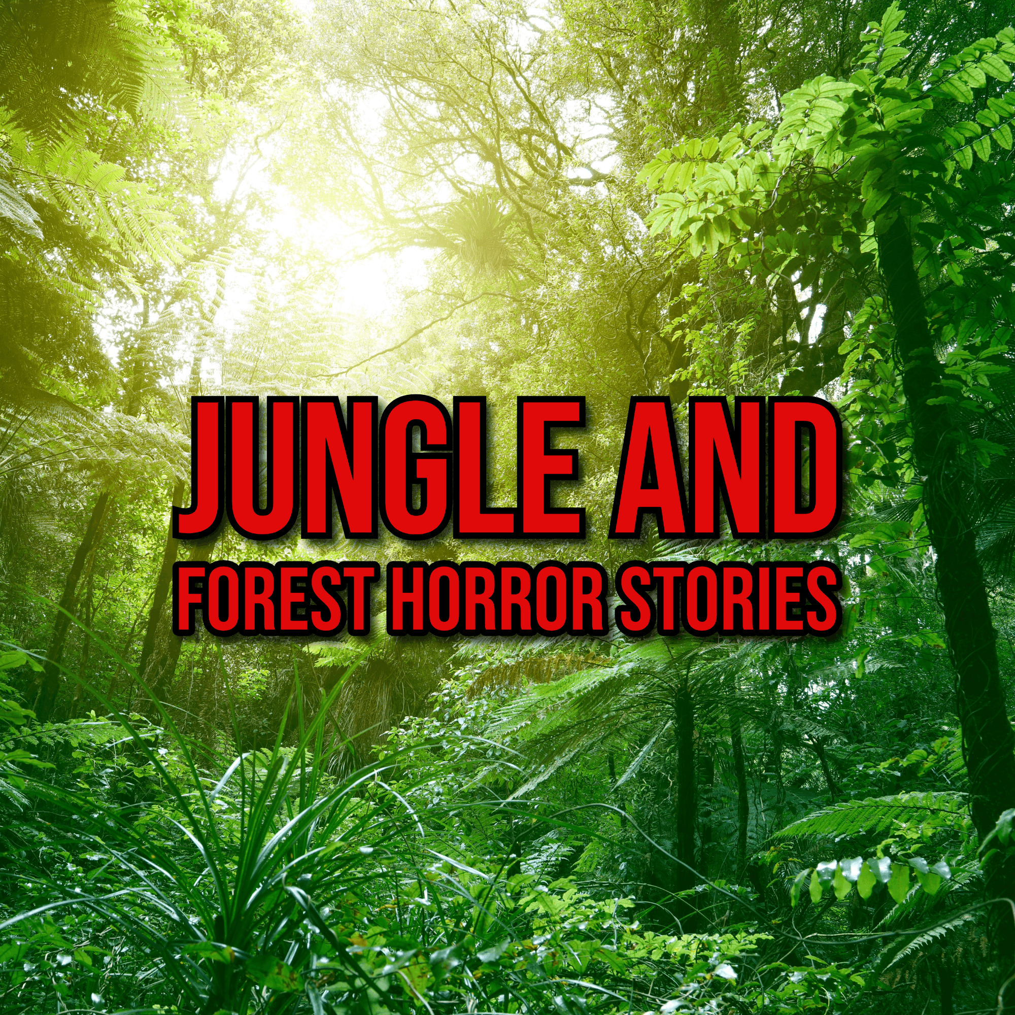 S5 Ep266: Episode 266: Jungle and Forest Horror Stories