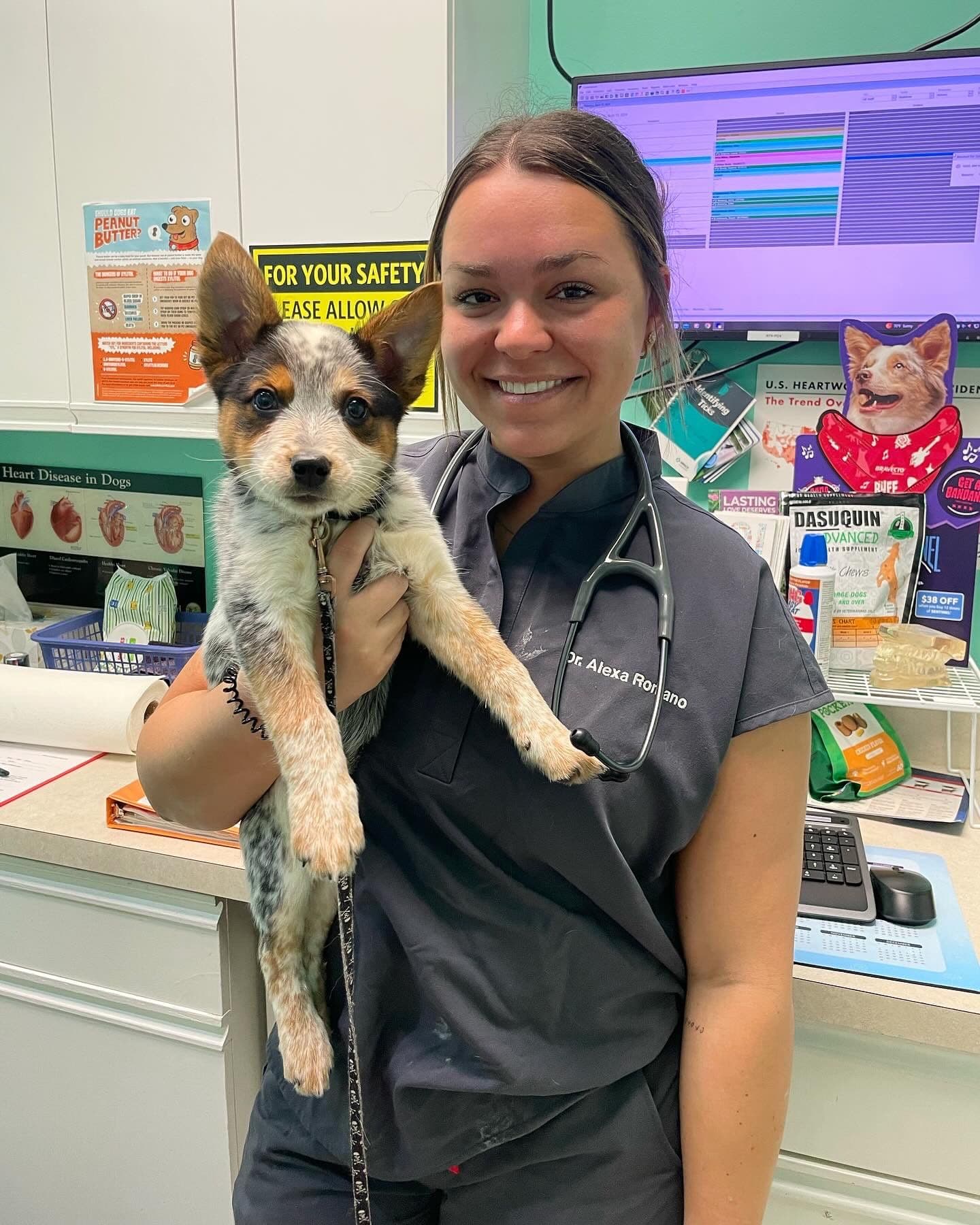 348: An entrepreneurial veterinarian