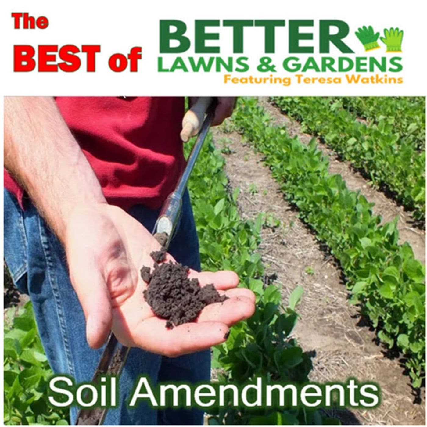 S2 Ep379: Better Lawns and Gardens Hour 1 Best Of - Soil Amendments August 30 2025