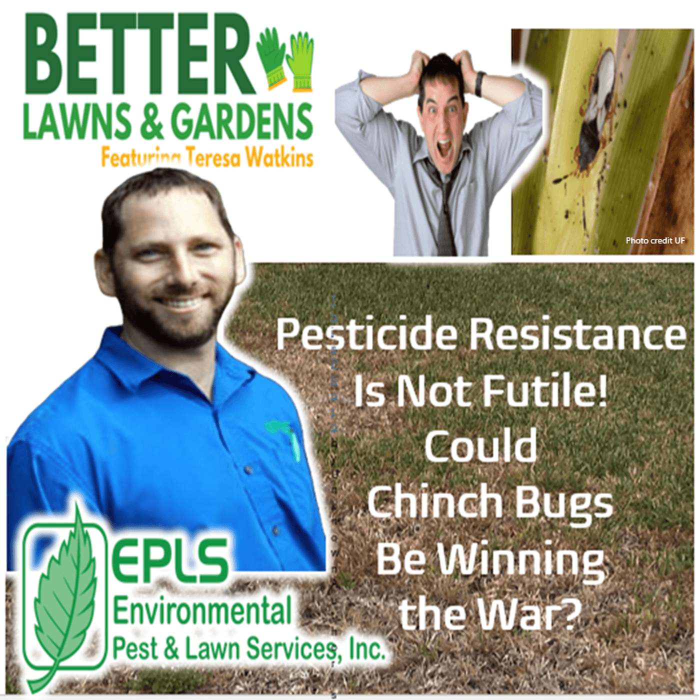 S2 Ep382: Better Lawns ande Gardens - Hour 2 Is Chinch Bug Resistance Winning? September 6 2025