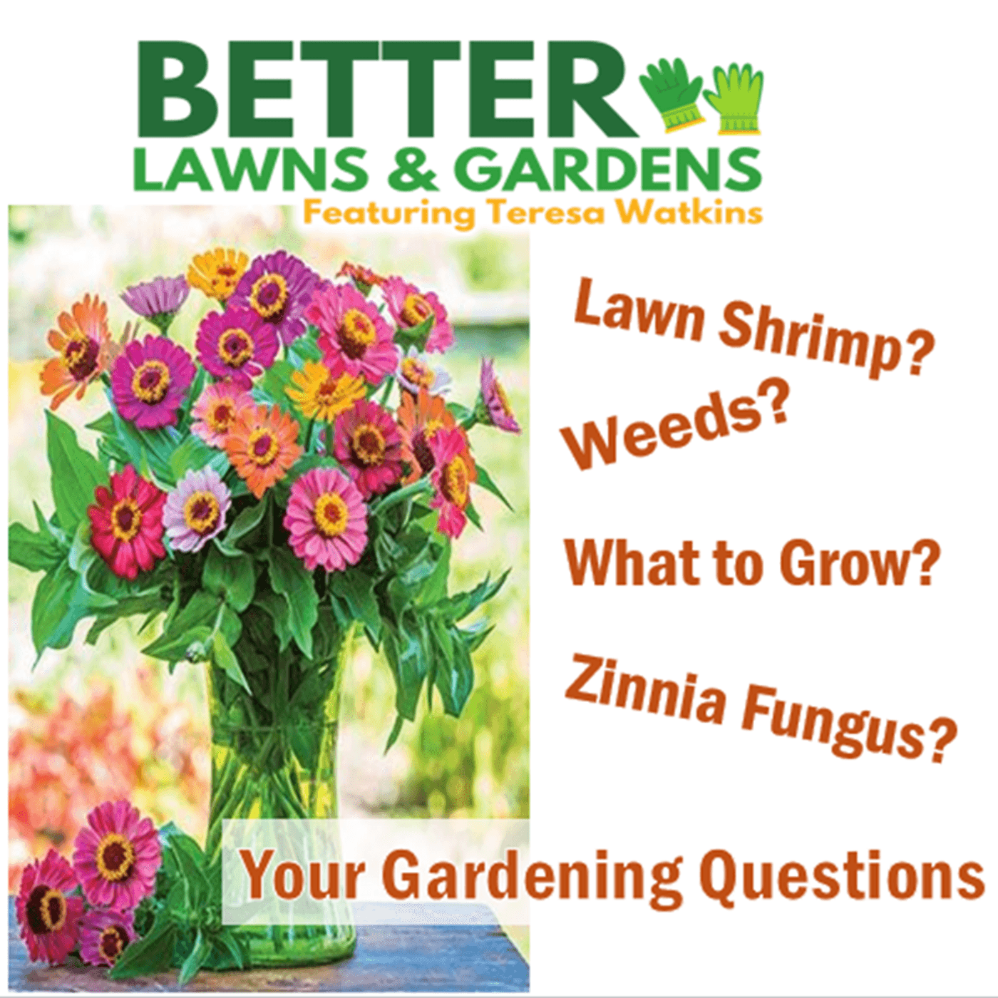 S2 Ep383: Better Lawns and Gardens - Hour 1 Your Gardening Questions September 13 2025