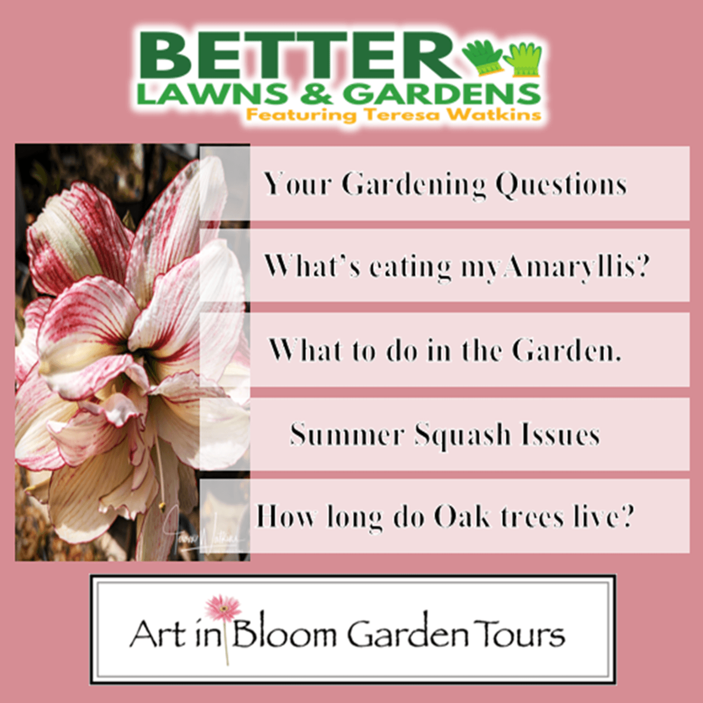 S2 Ep384: Better Lawns and Gardens - Hour 2 Gardening Questions September 13, 2025