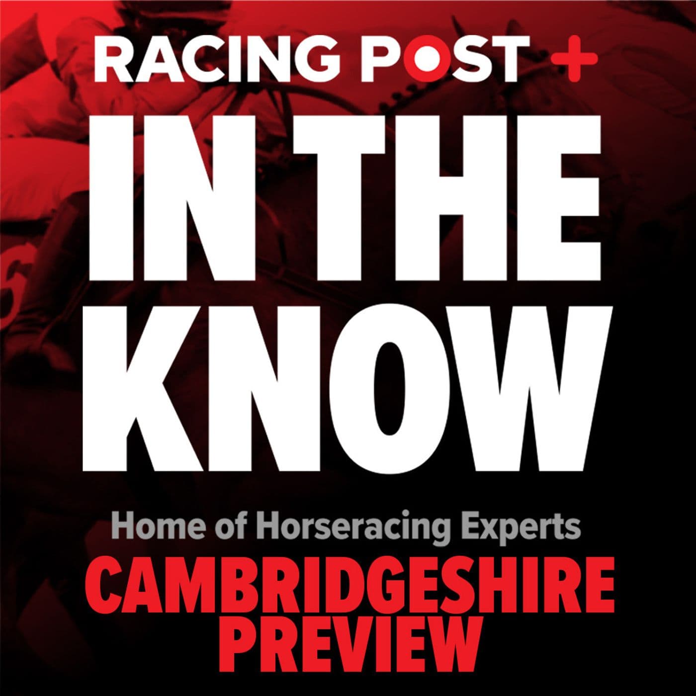 321: Cambridgeshire Meeting Preview | Tips from Paul Kealy & Tom Segal | In The Know