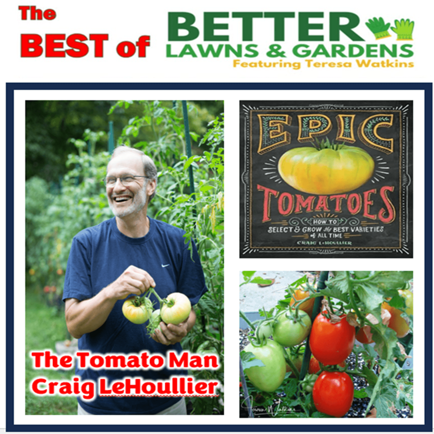 S2 Ep386: Better Lawns and Gardens - Hour 2 Secrets of Growing Epic Tomatoes! September 20, 2025
