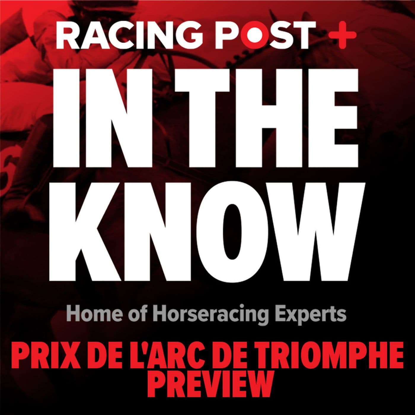 324: Prix de l'Arc de Triomphe Preview | Tips from Paul Kealy & Robbie Wilders | In The Know