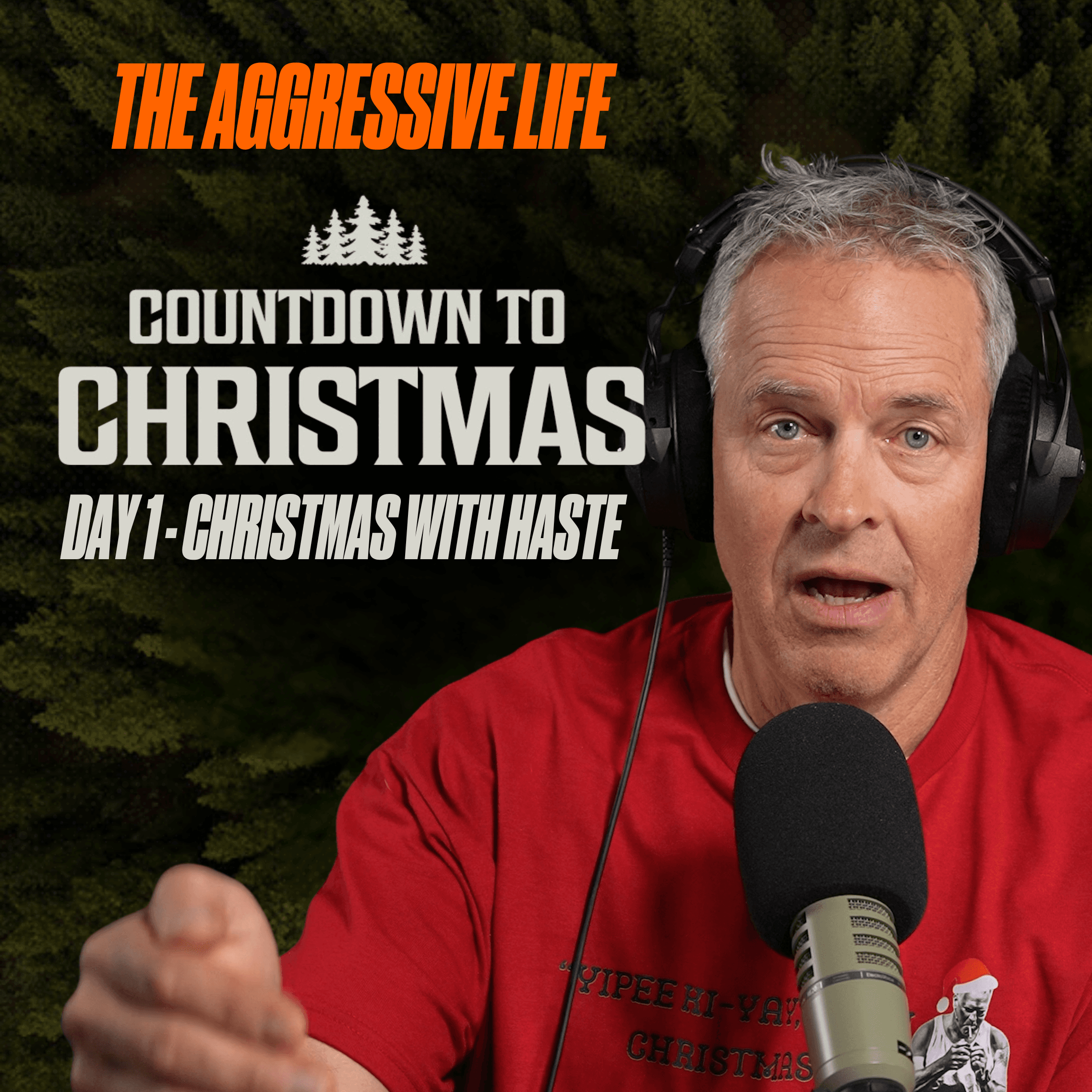 Countdown to Christmas - Day 1: Christmas with Haste