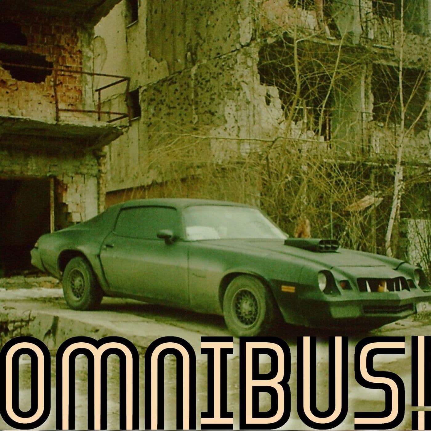 The Bosnian War Camaro (Entry 144.MA0718)