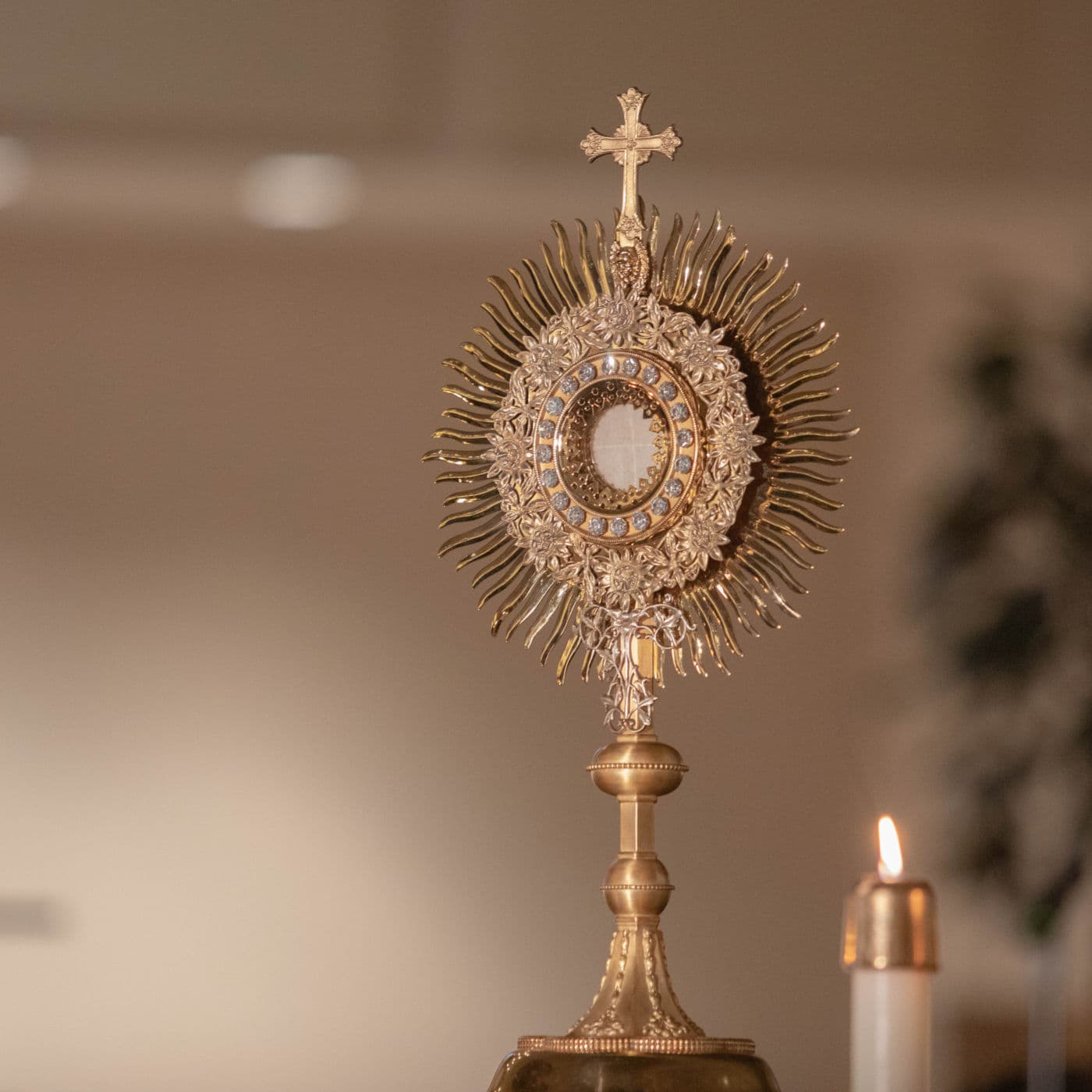 #12480 Why Do We Believe in the Real Presence in the Eucharist? - Joe Heschmeyer