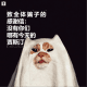 三好乱弹 - 《致全体骗子的感谢信：没有你们，哪有今天的贾斯汀》