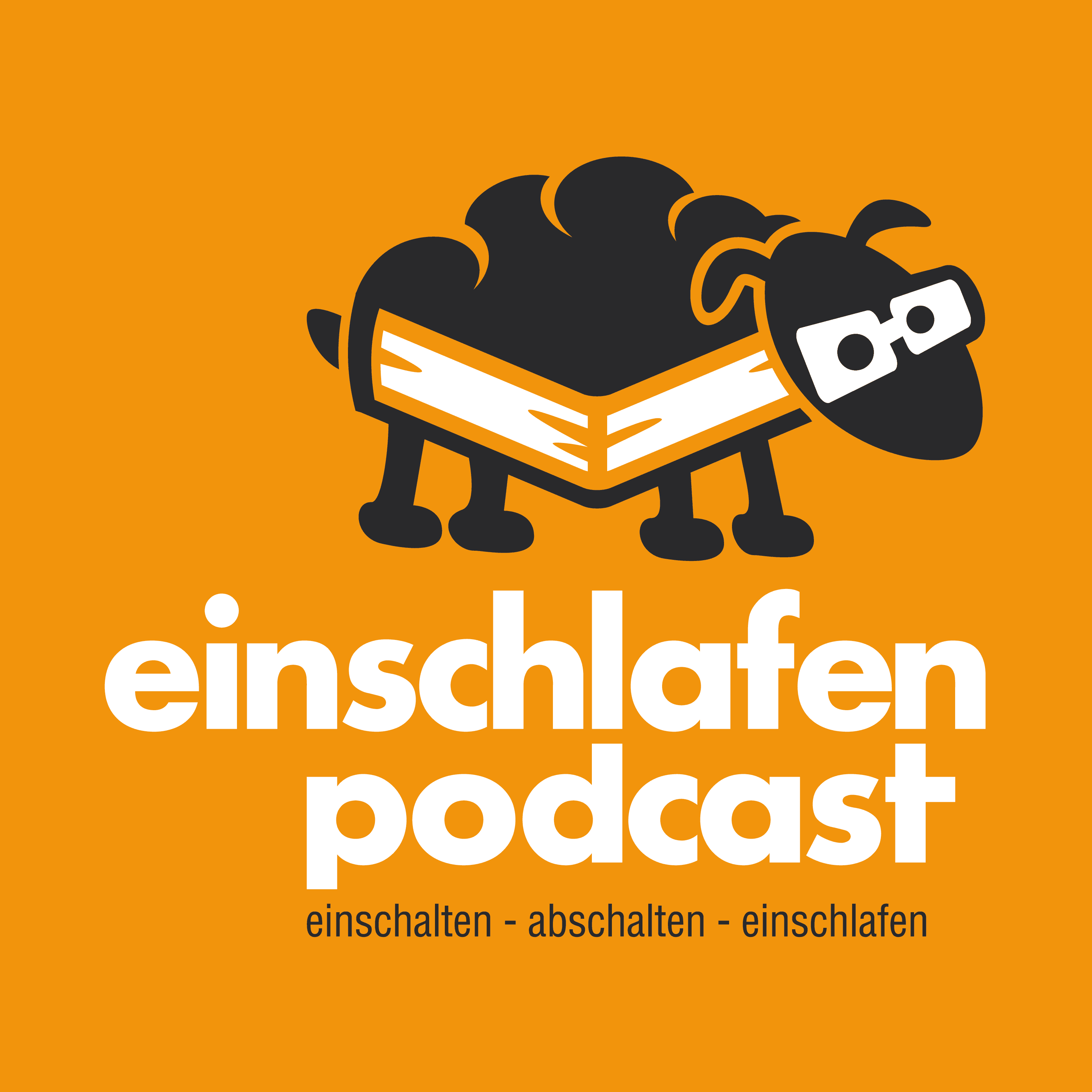EP 541 ~ Dreierlei Weihnachtscurry und Goethe