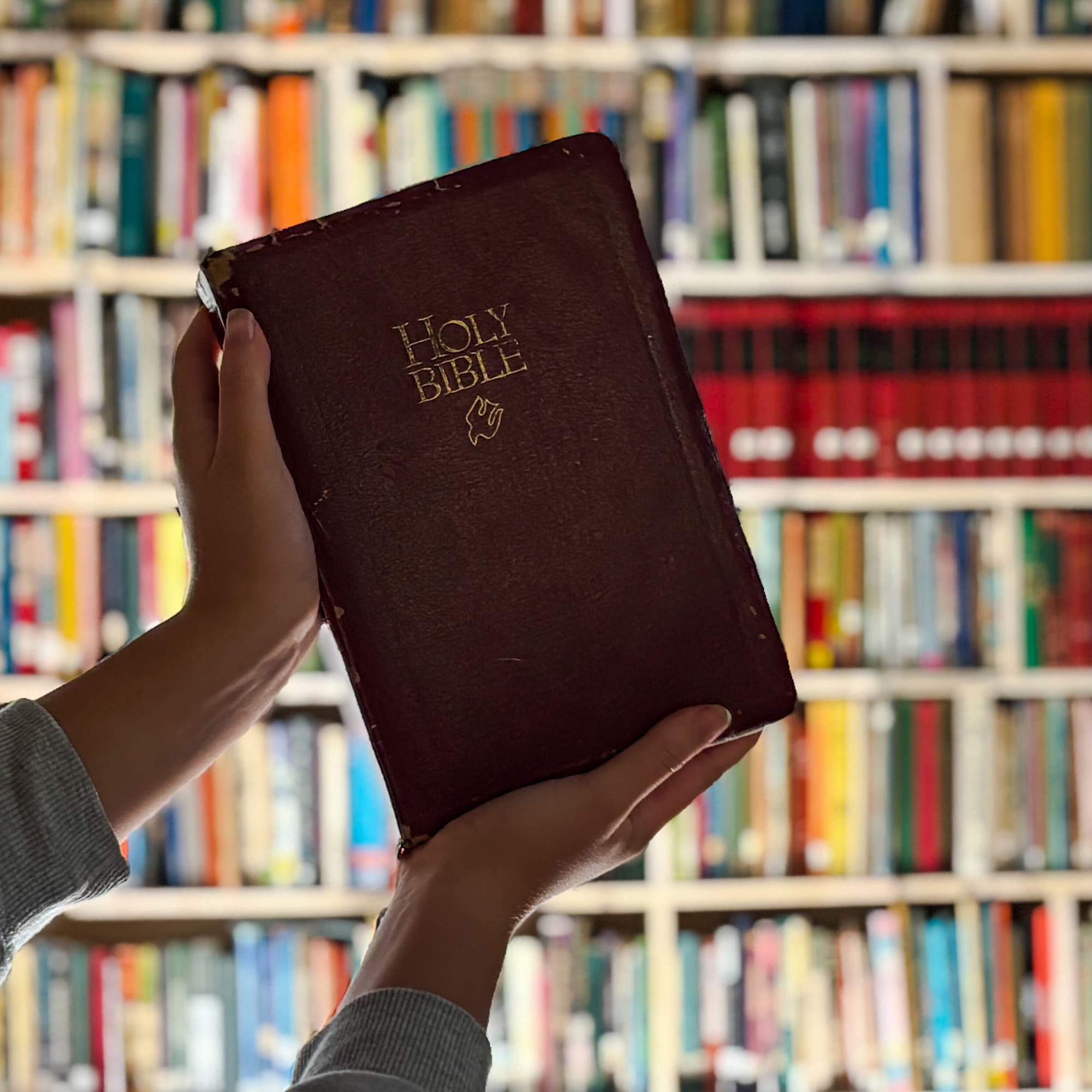 First Bible Lessons
