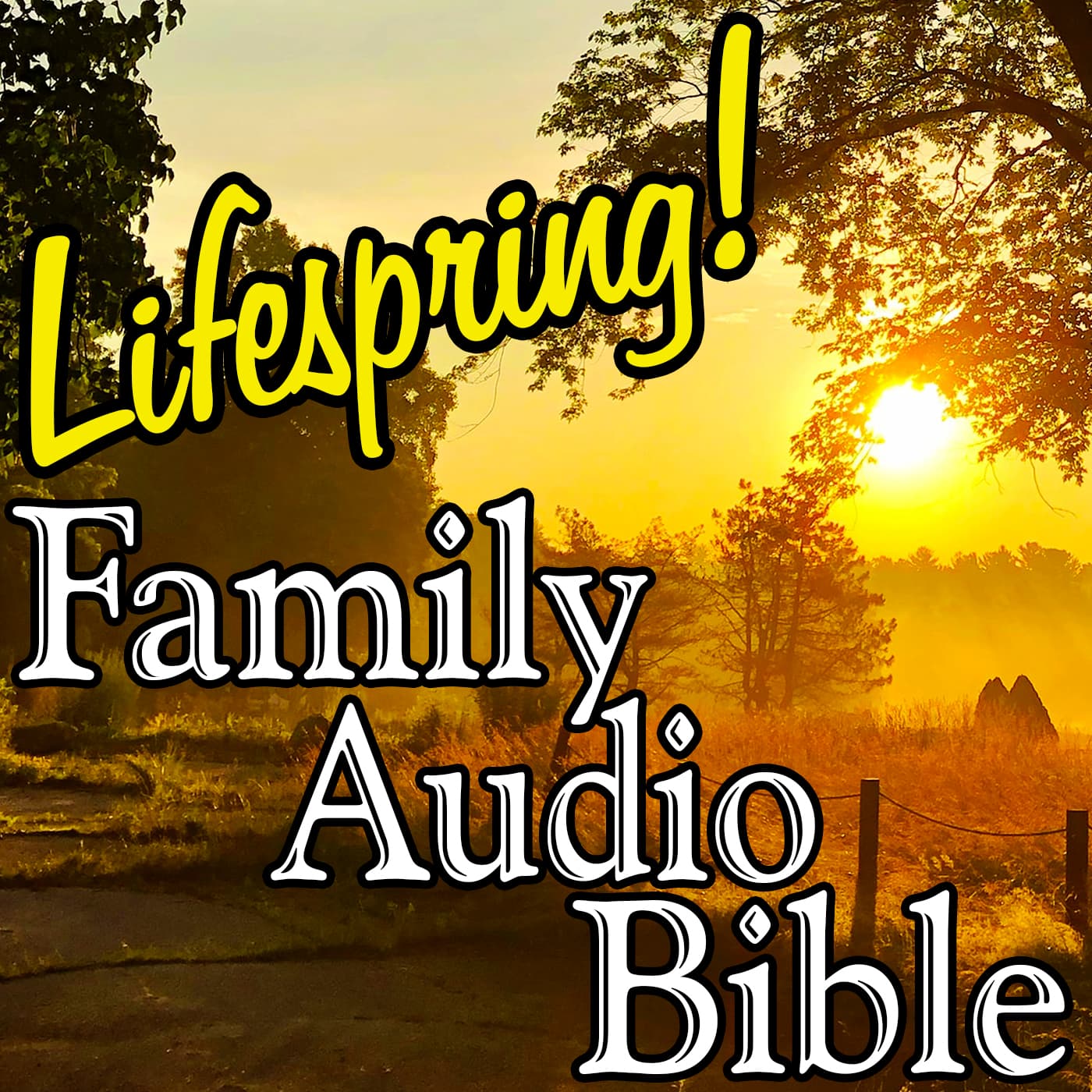 Job 19-20: My Redeemer