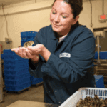 Backyard Hobby Farm to Nationwide – Brittney Miller