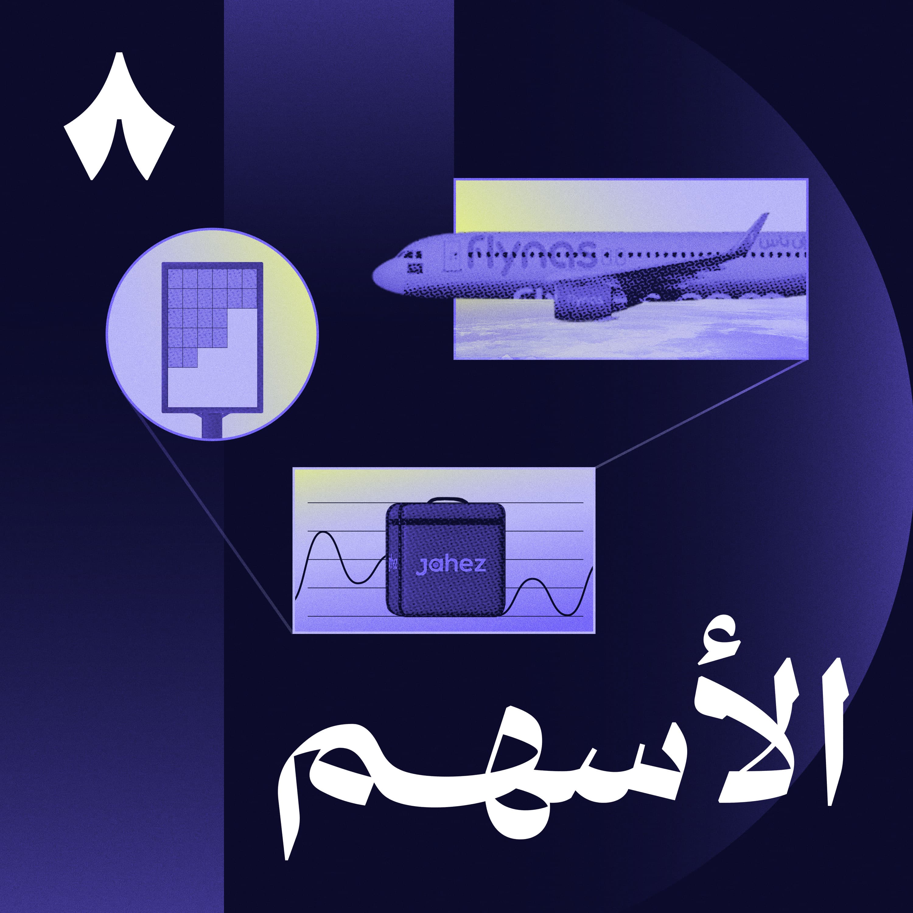 طرح أول شركة طيران: لماذا لا تملك فلاي ناس طائراتها 