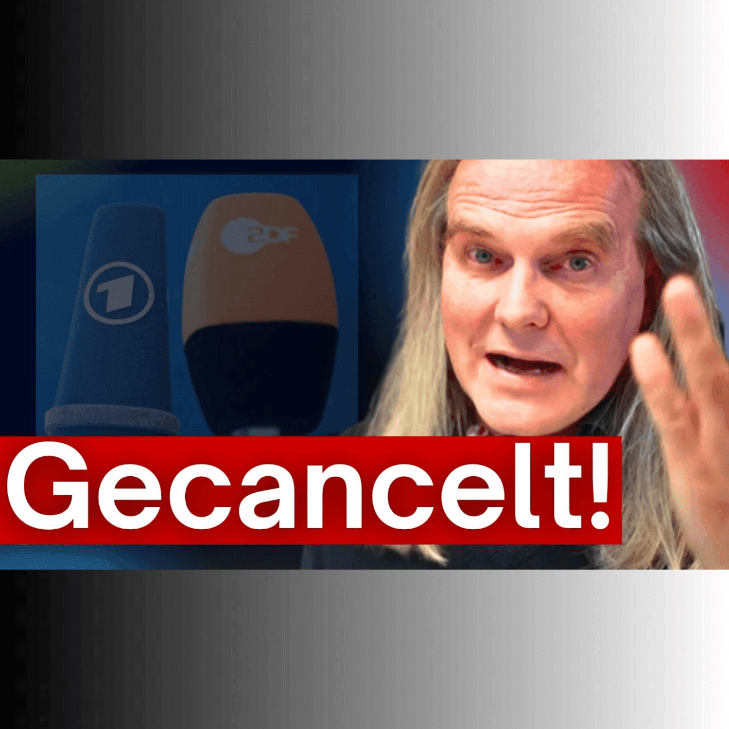 341. Hayali, Milram, Kuchen-TV, Müller-Milch: Die unlauteren Methoden des Cancelns - Prof Rieck