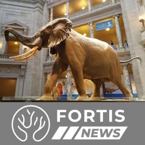 Smithsonian Shifts Focus & Critical Theory Gains Traction