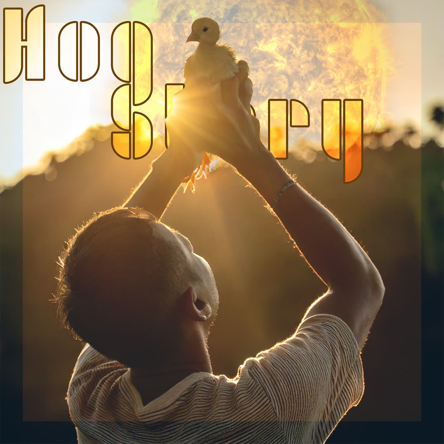 Hog Story #425 – Dublin Name
