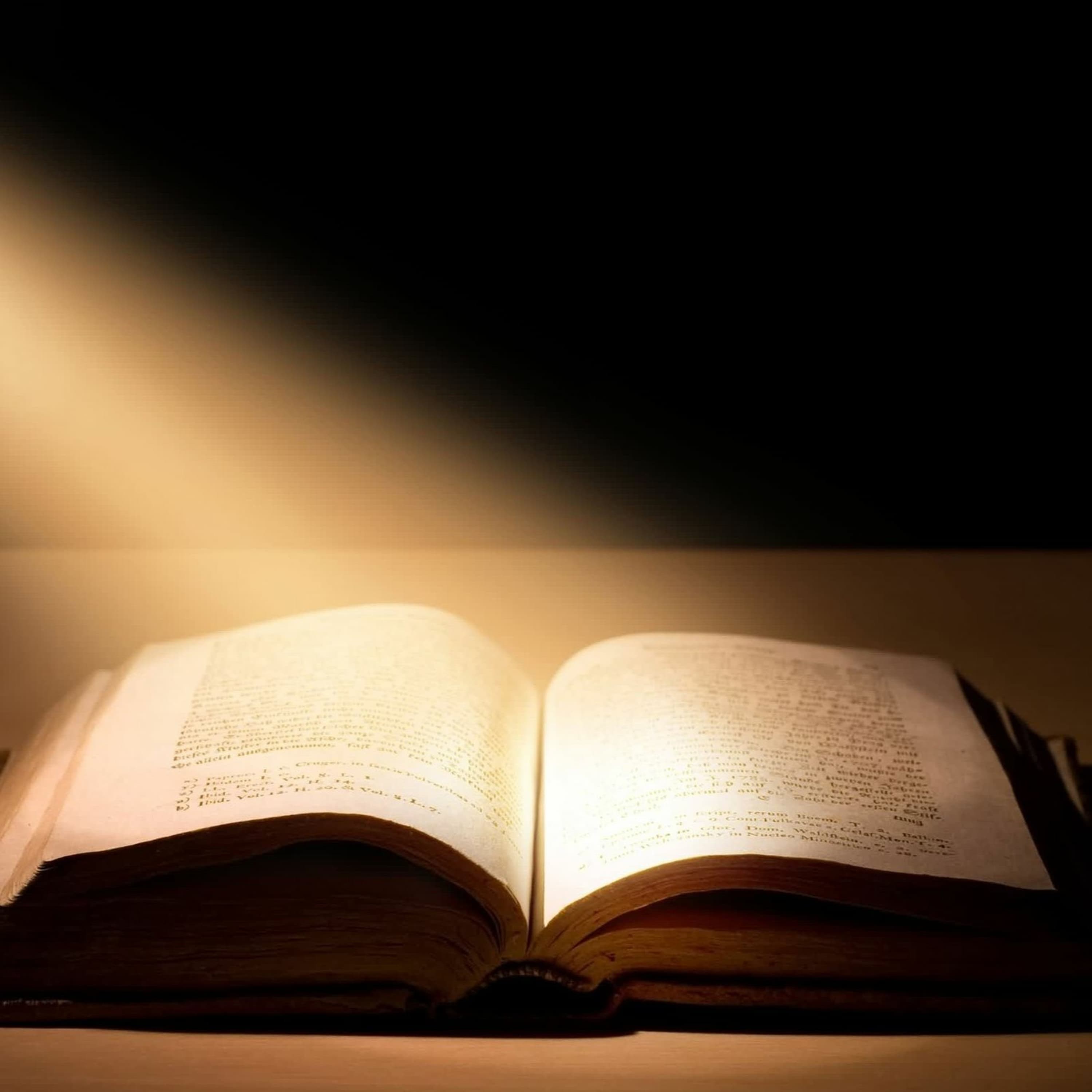 Why Do We Divide the Word?