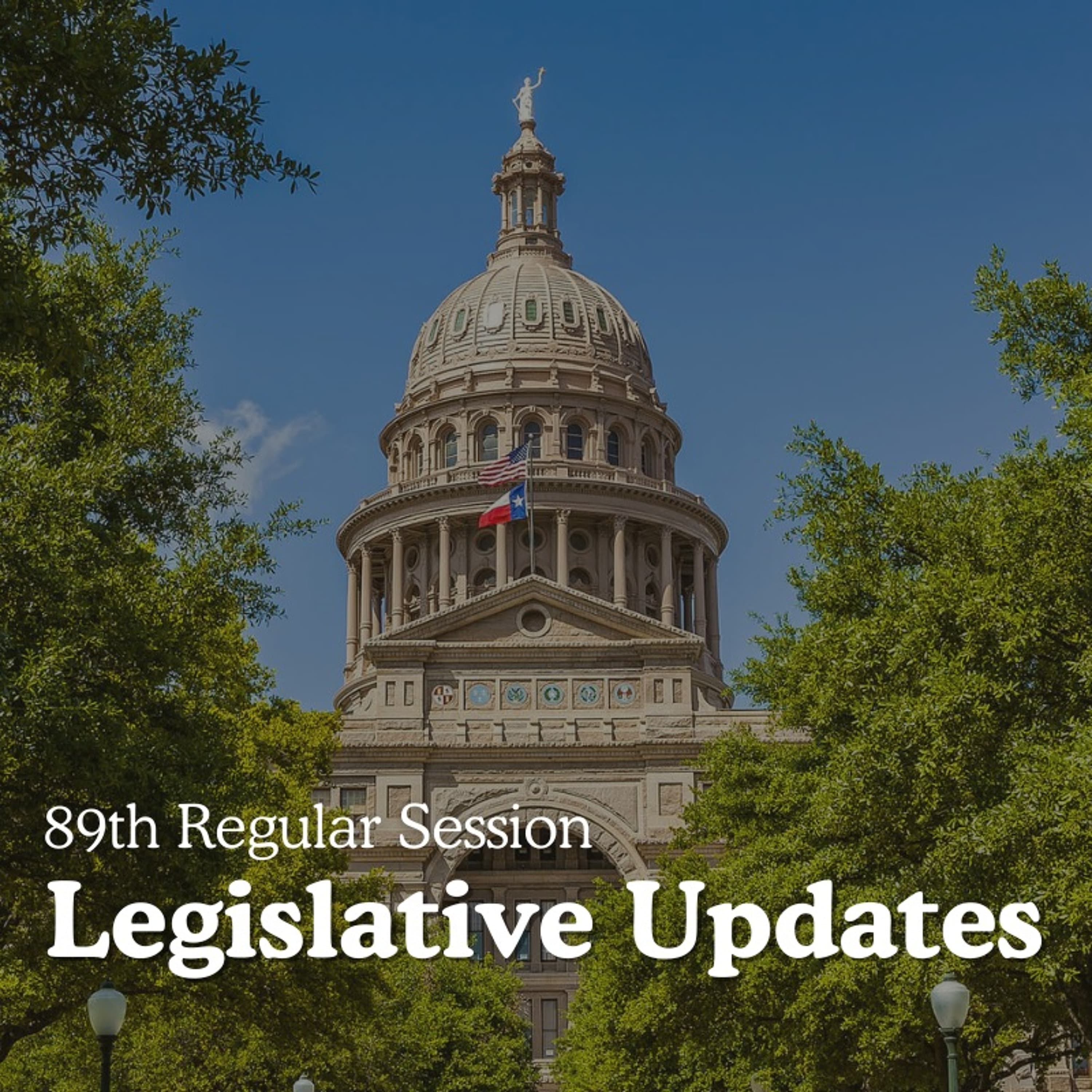 Texas Legislative Update - Apr 17, 2025