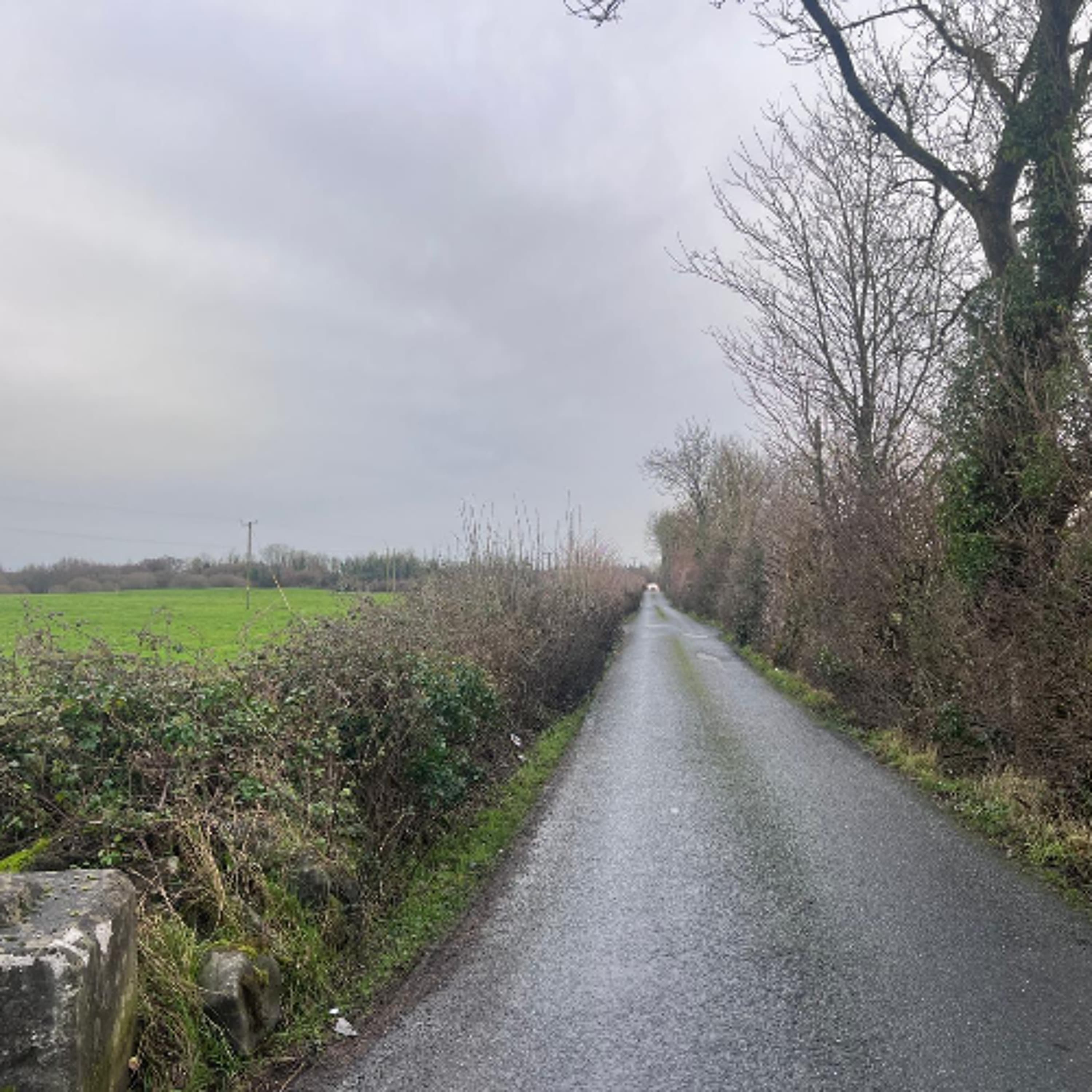 Residents Of Unofficial “Bypass Of Ennis” Said To Be Living In “Nightmare Situation”