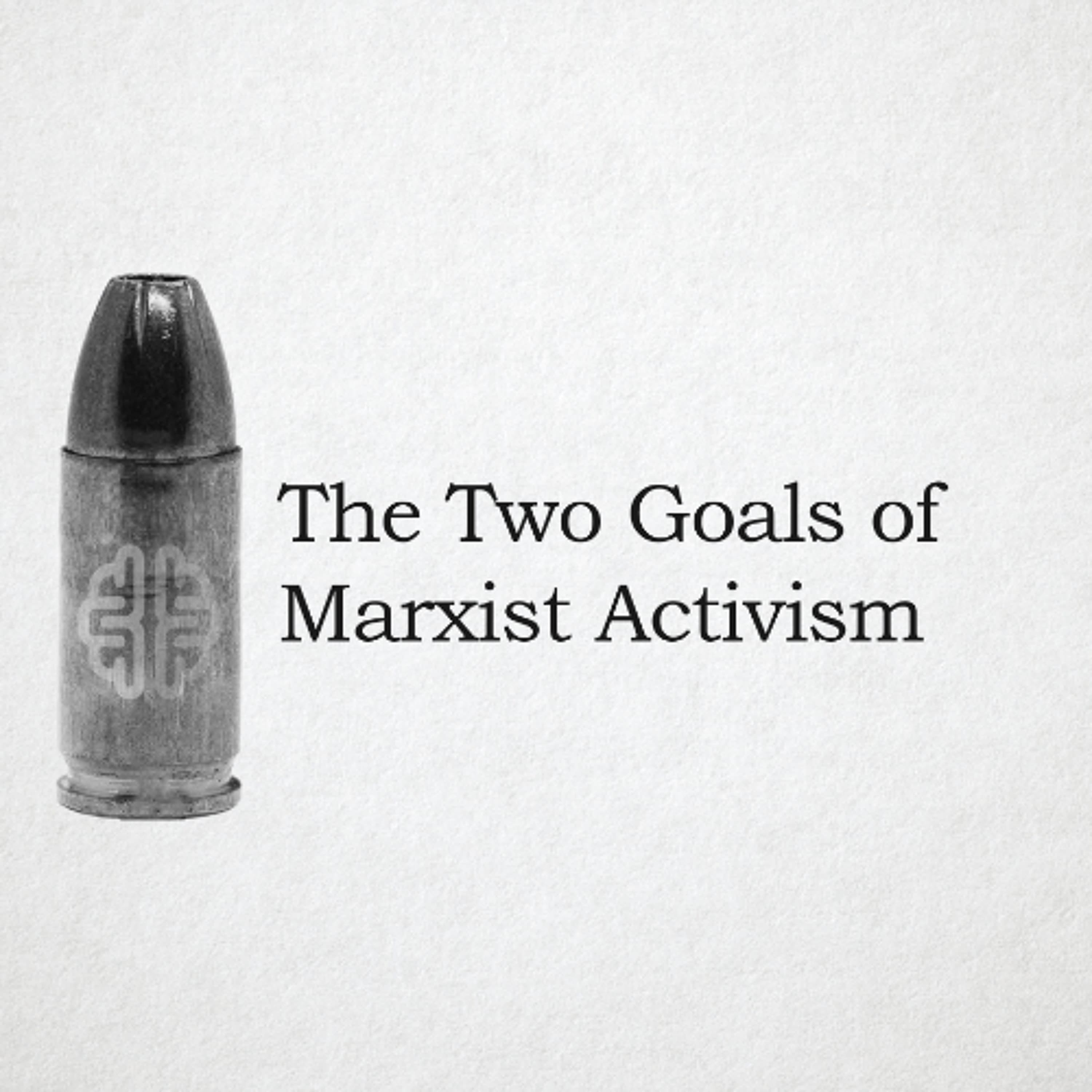 The Two Goals of Marxist Activism