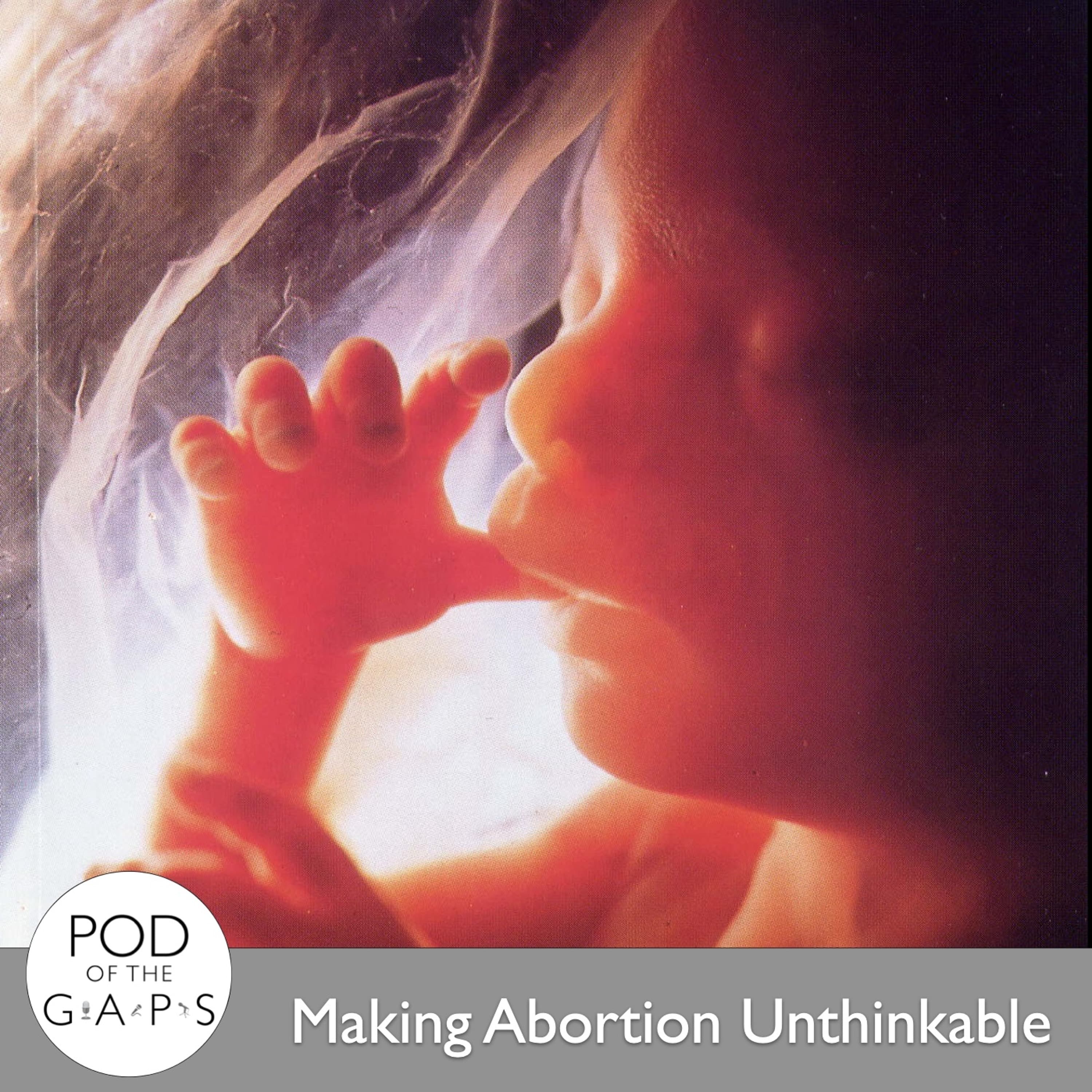 Episode 67 - Making Abortion Unthinkable (featuring John Deighan from SPUC)